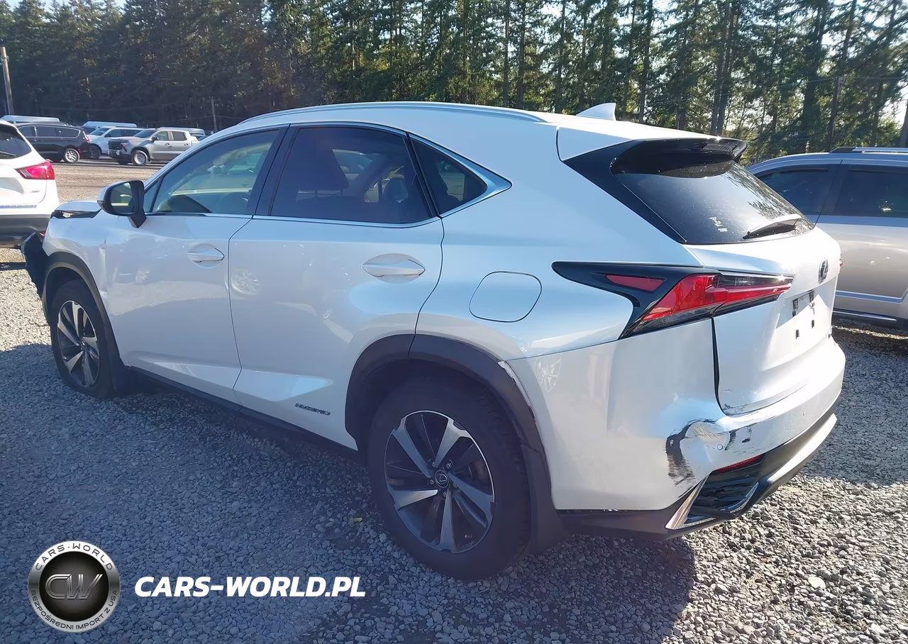 2020 Lexus Nx 300H VIN:JTJGJRDZ8L5008019 - 3
