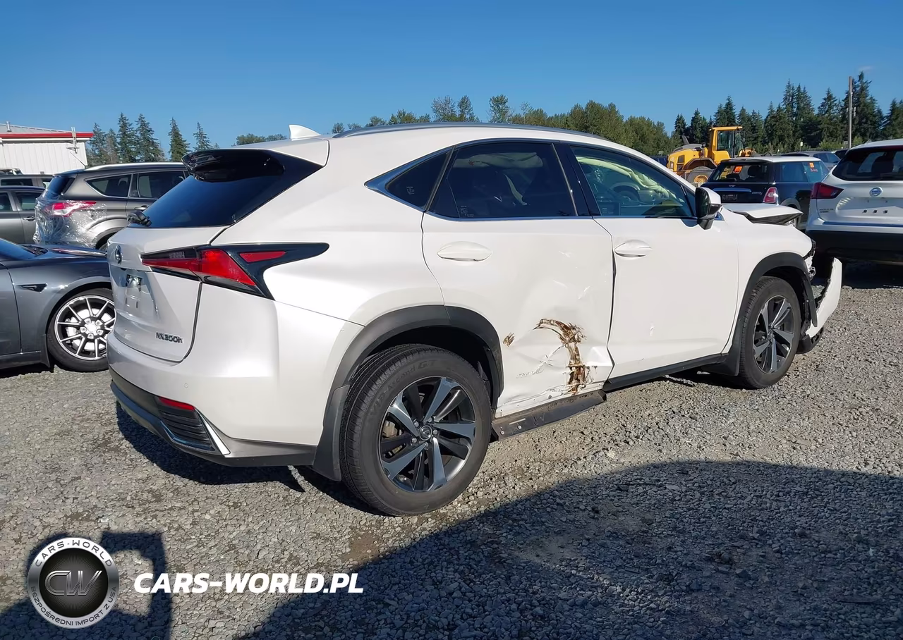 2020 Lexus Nx 300H VIN:JTJGJRDZ8L5008019 - 4
