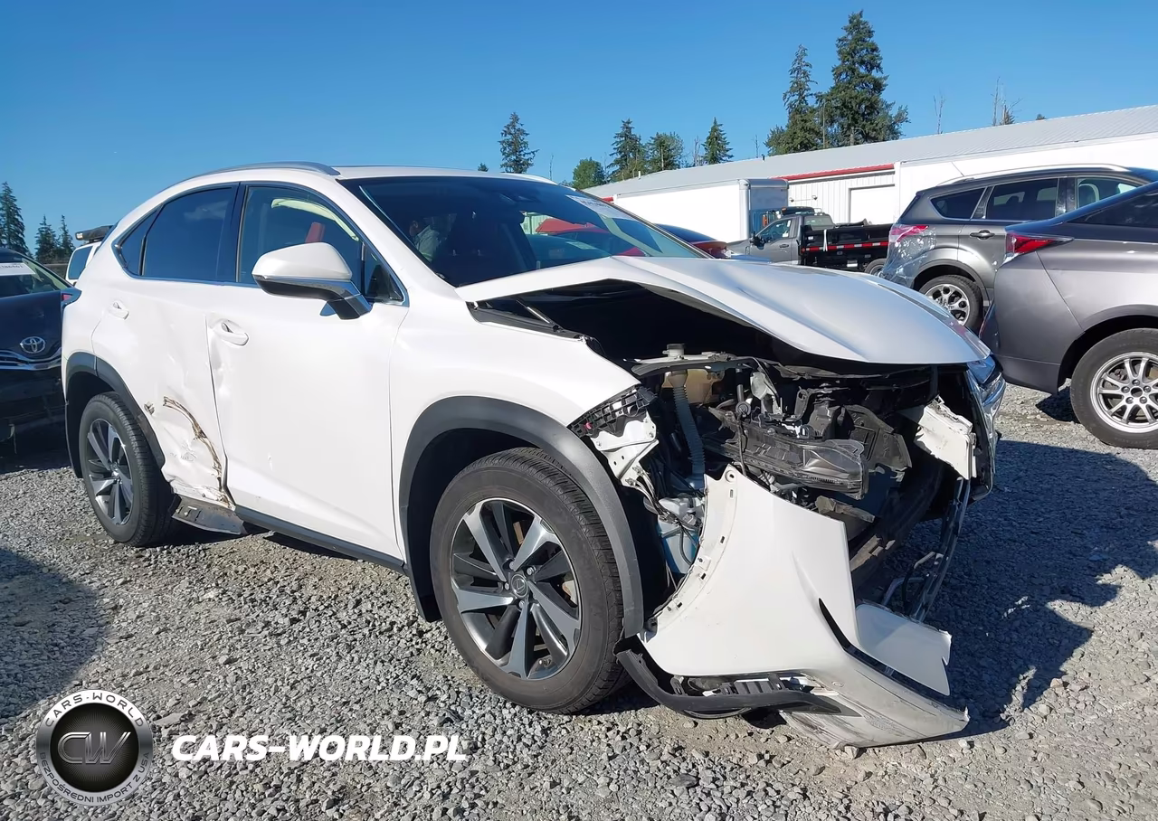 2020 Lexus Nx 300H VIN:JTJGJRDZ8L5008019 - 6