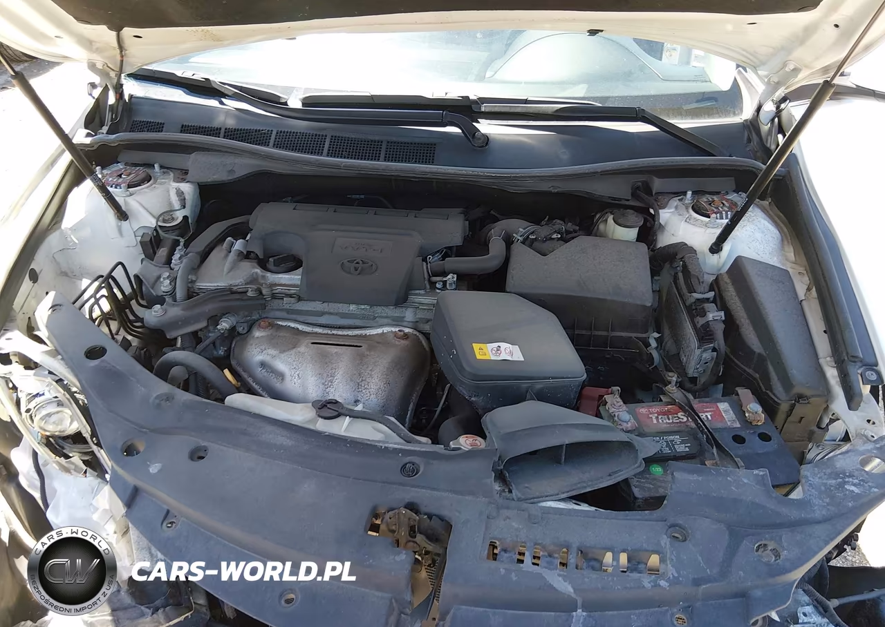 2017 Toyota Camry Se VIN:4T1BF1FKXHU318990 - 10