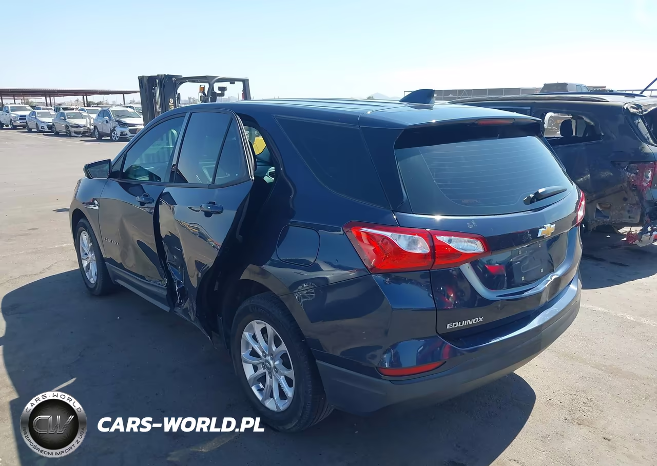 2019 Chevrolet Equinox Ls VIN:3GNAXHEV3KL228459 - 3