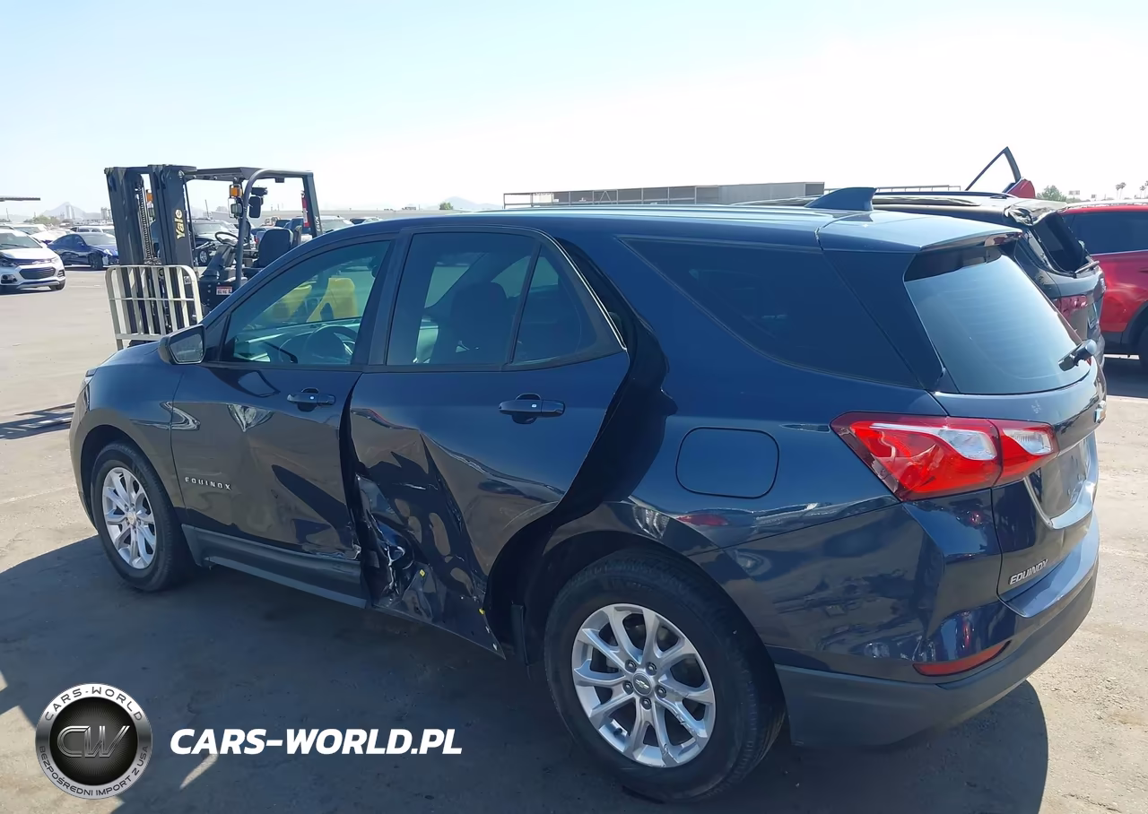 2019 Chevrolet Equinox Ls VIN:3GNAXHEV3KL228459 - 6