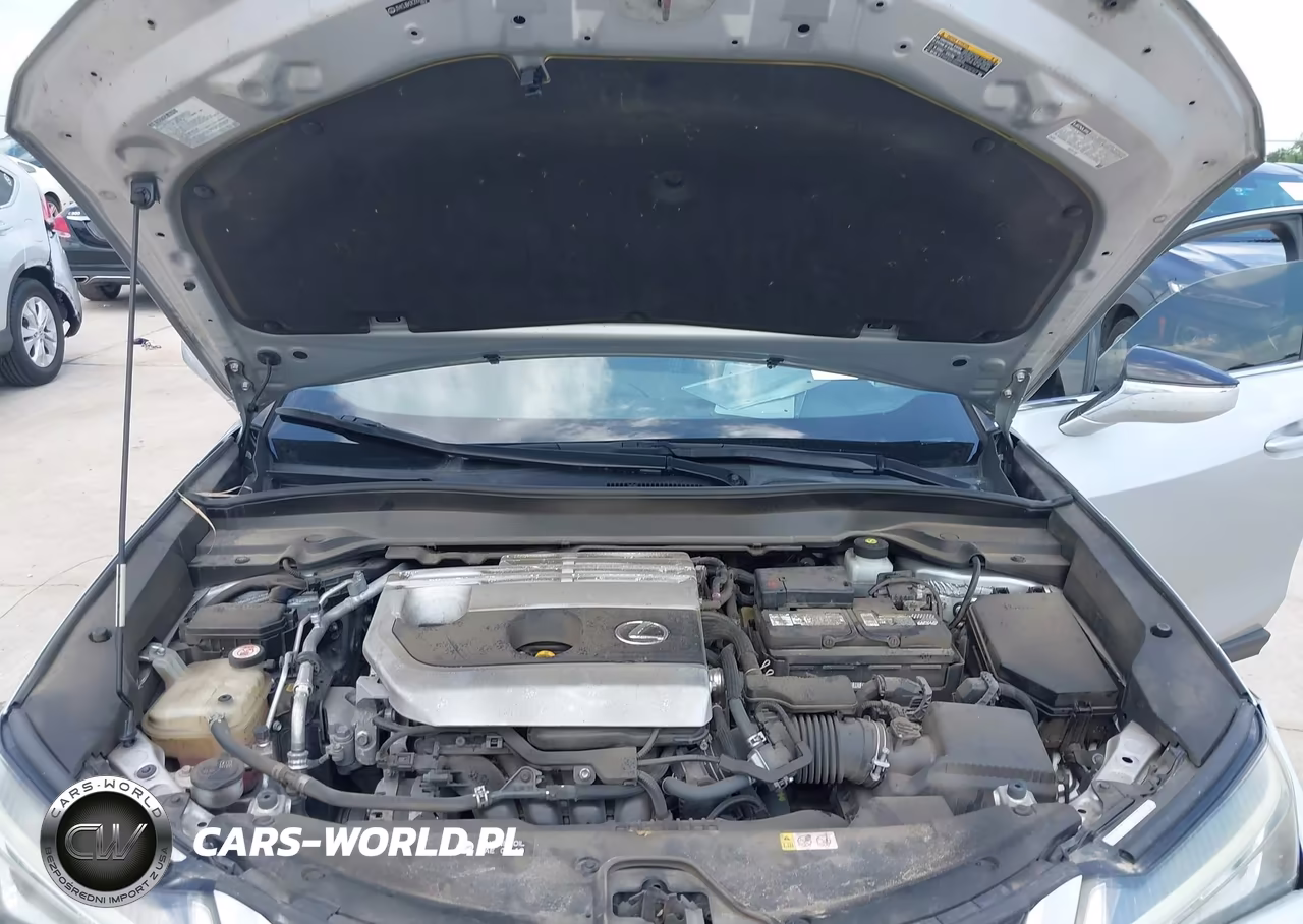 2019 Lexus Ux 200 VIN:JTHY3JBH2K2006293 - 10