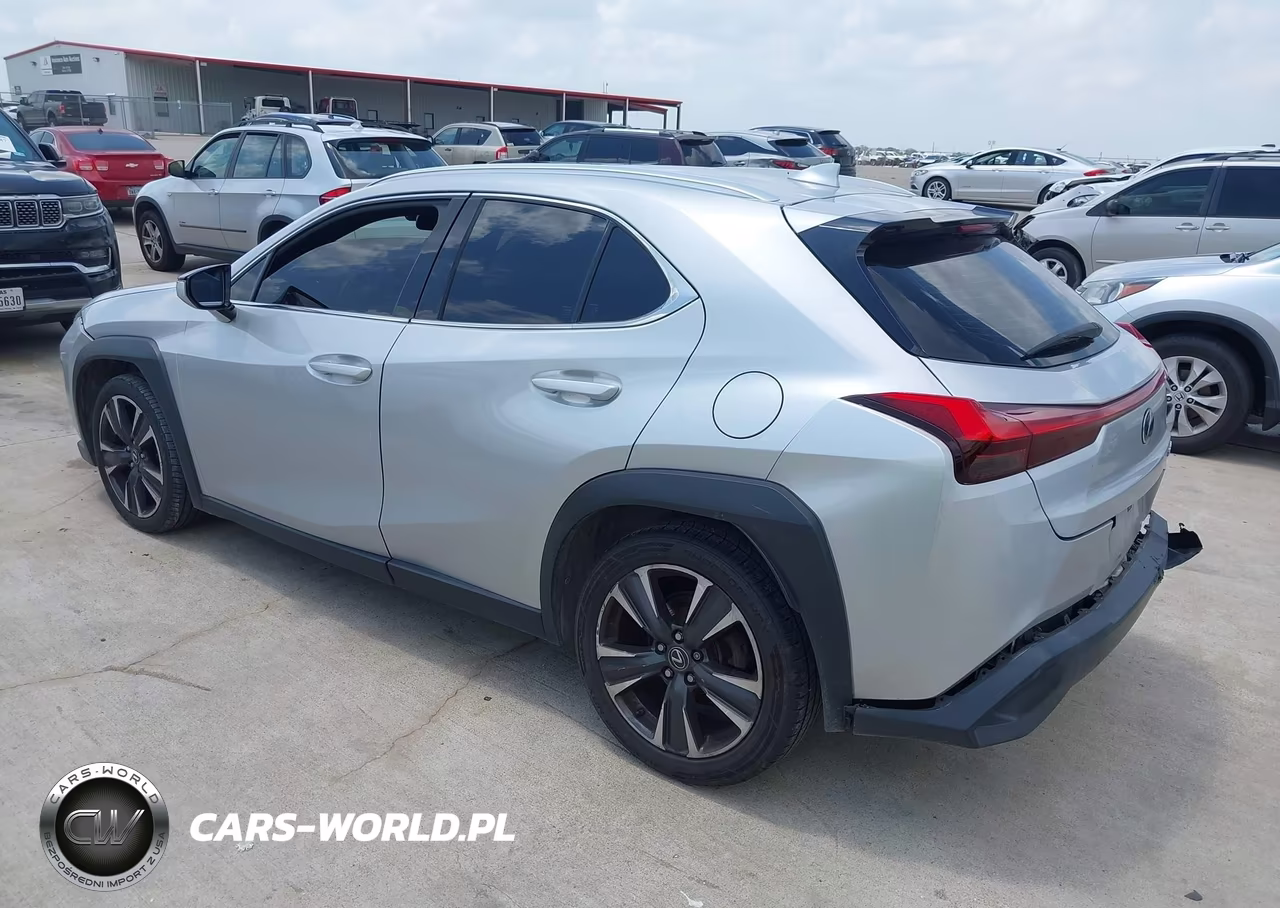2019 Lexus Ux 200 VIN:JTHY3JBH2K2006293 - 3