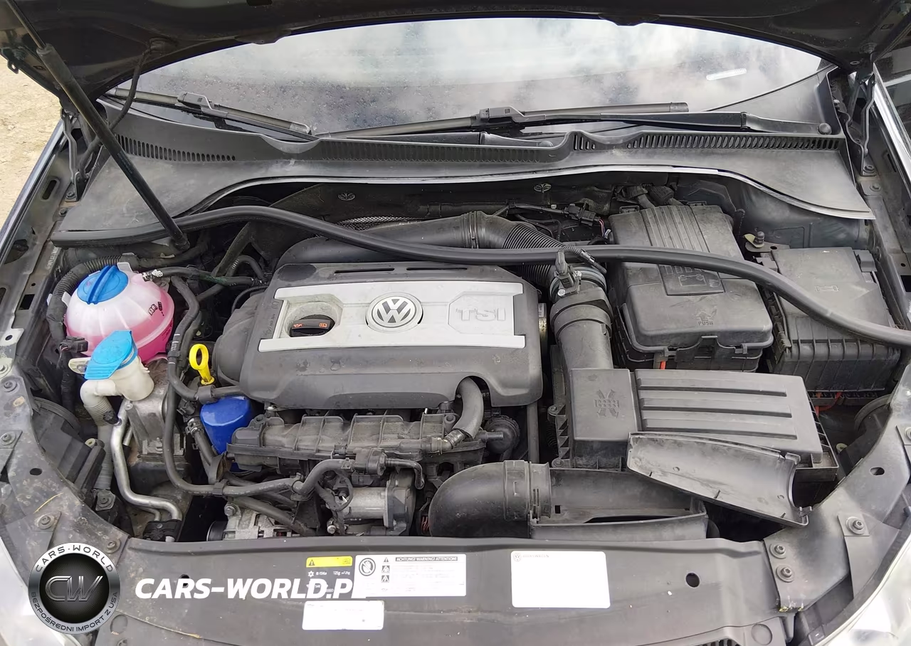 2013 Volkswagen Gti Wolfsburg Edition VIN:WVWGV7AJ9DW137490 - 10