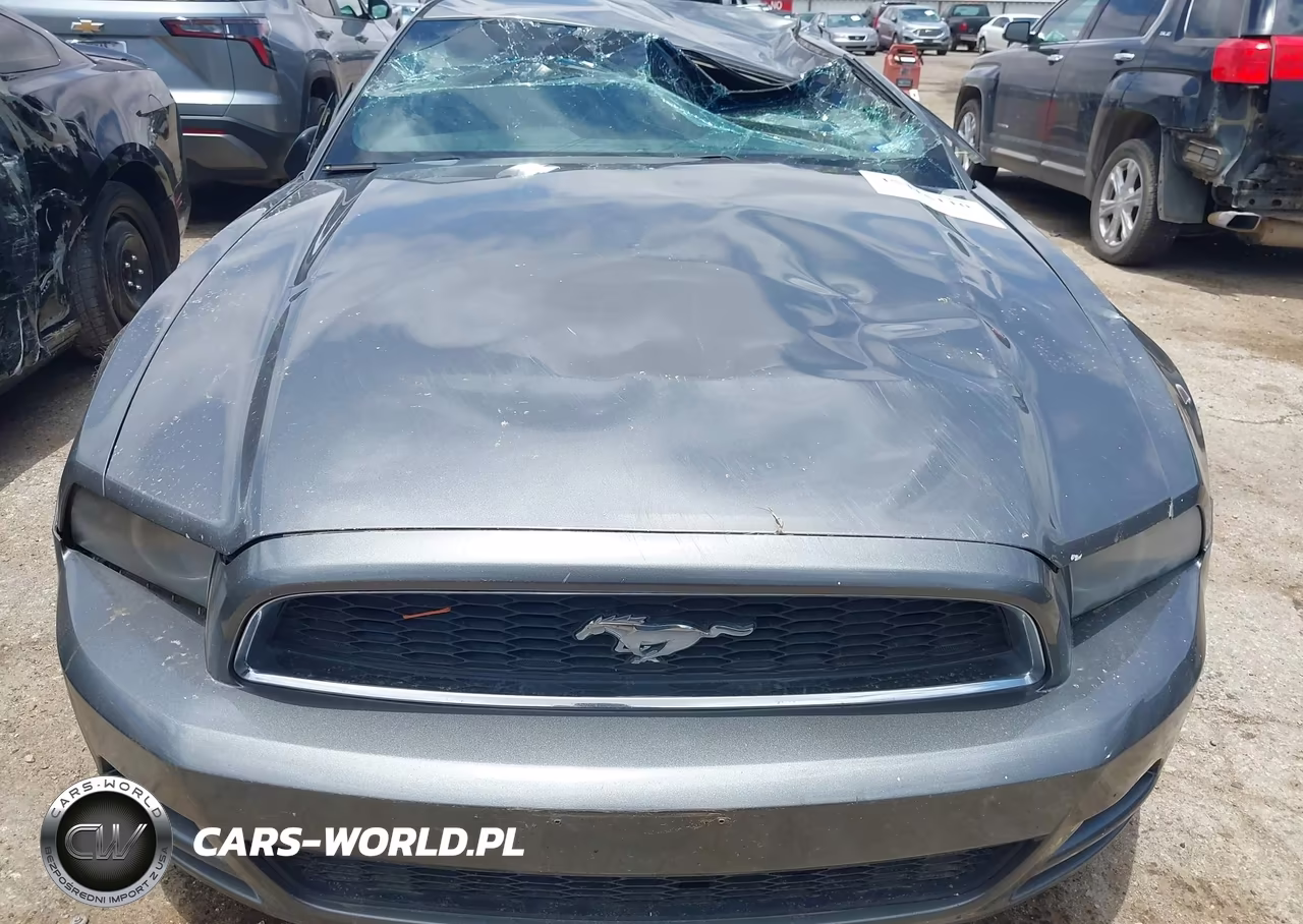 2014 Ford Mustang V6-V6 Premium VIN:1ZVBP8AM5E5302895 - 12