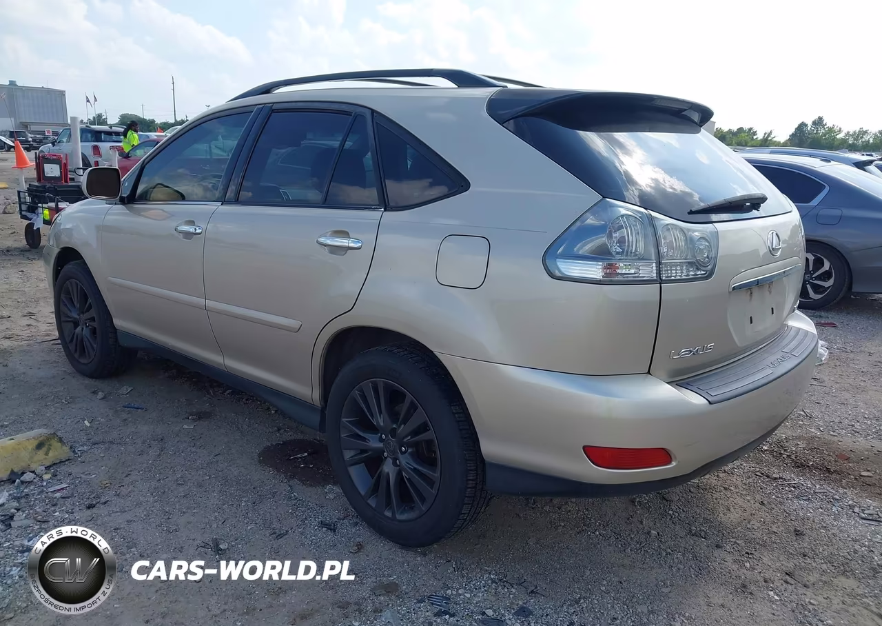 2005 Lexus Rx 330 VIN:JTJGA31U950048583 - 3