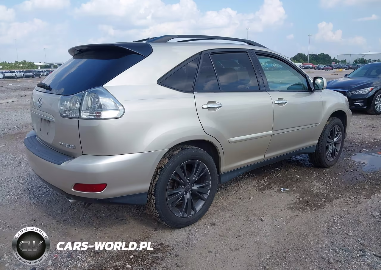 2005 Lexus Rx 330 VIN:JTJGA31U950048583 - 4