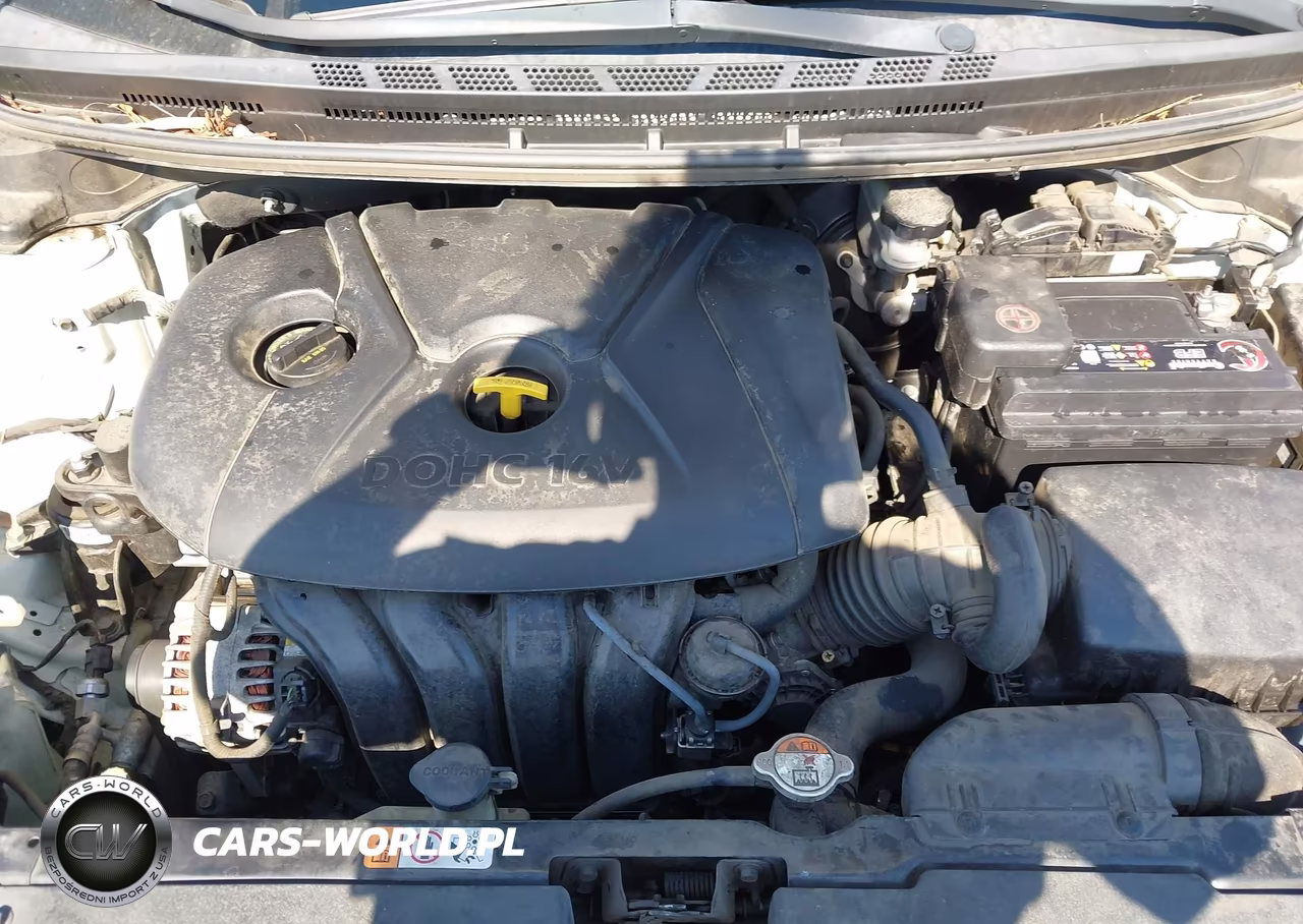 2015 Kia Forte Lx VIN:KNAFX4A67F5291623 - 10