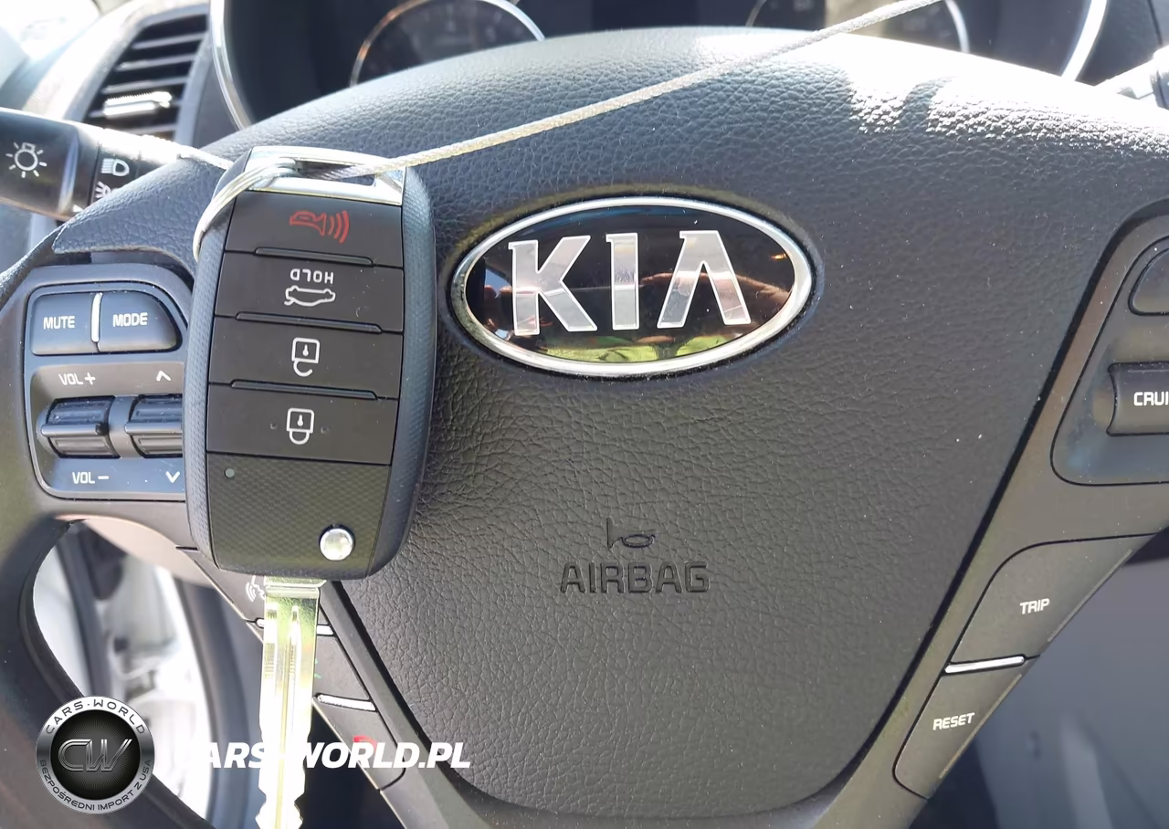 2015 Kia Forte Lx VIN:KNAFX4A67F5291623 - 11