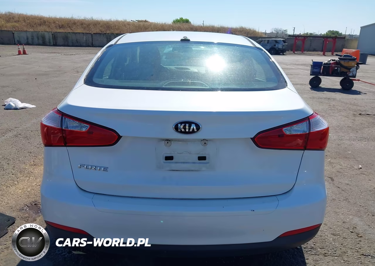 2015 Kia Forte Lx VIN:KNAFX4A67F5291623 - 17