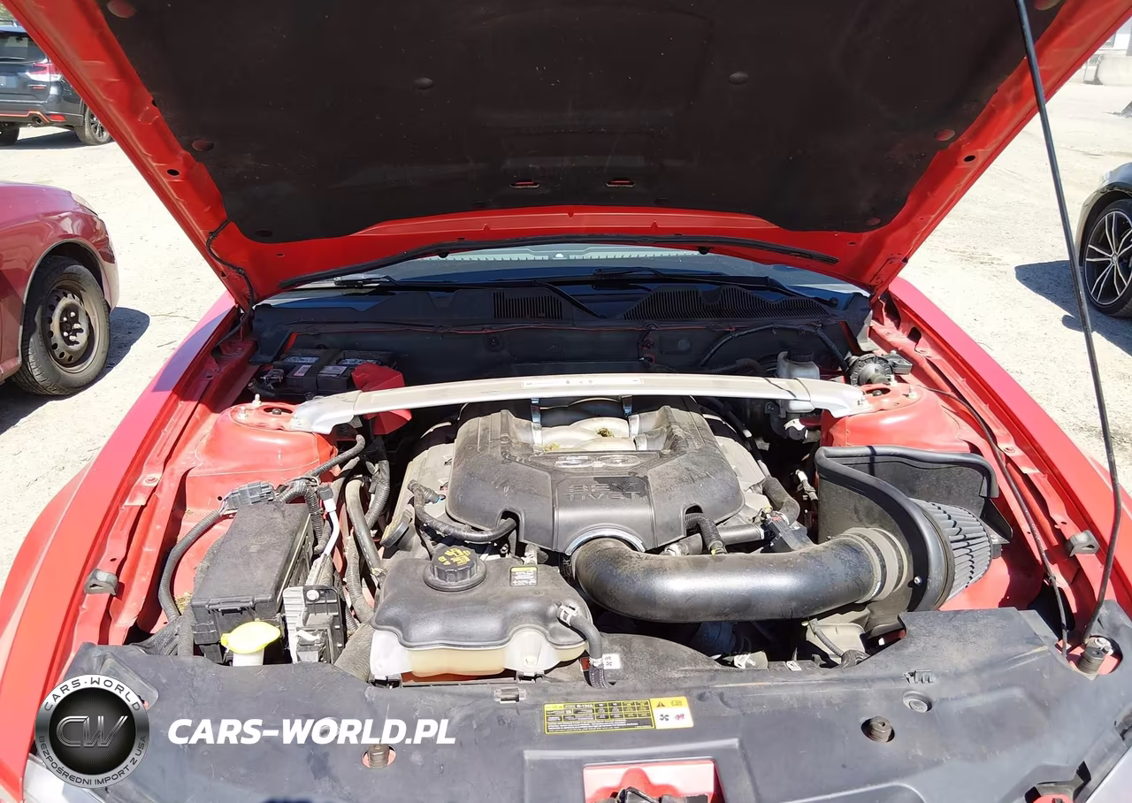 2011 Ford Mustang Gt-Gt Premium VIN:1ZVBP8FF1B5134243 - 10
