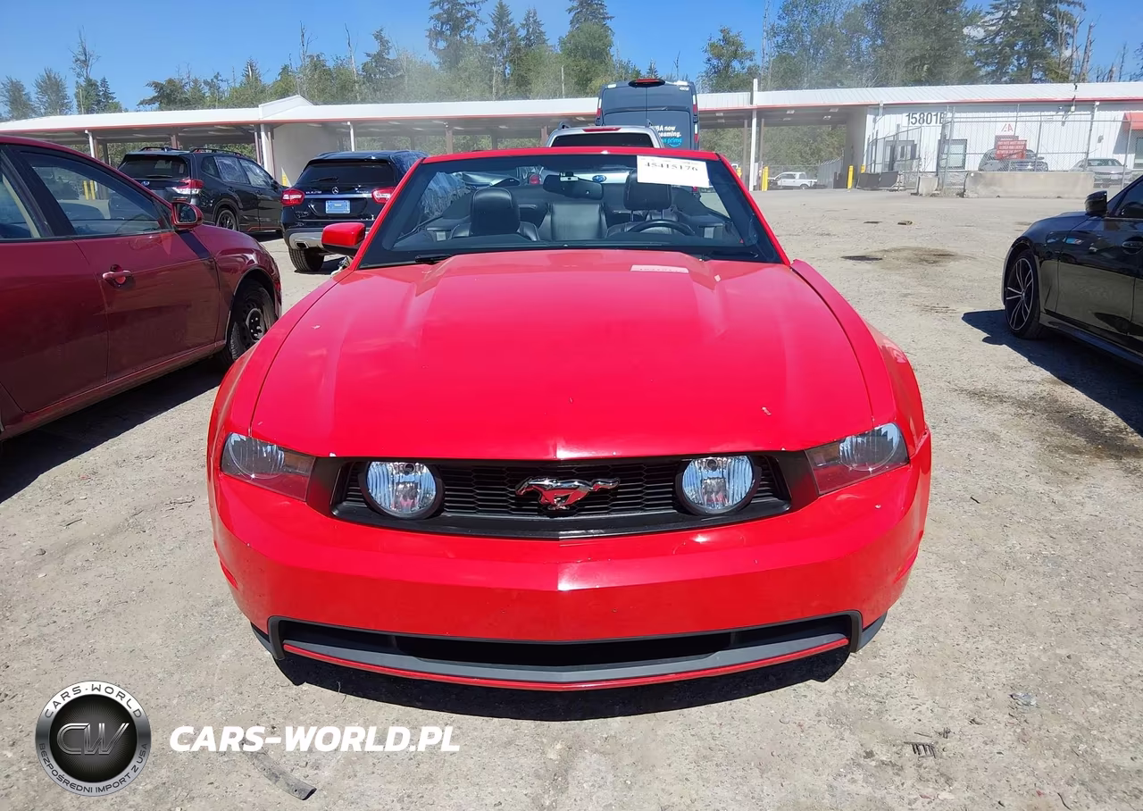 2011 Ford Mustang Gt-Gt Premium VIN:1ZVBP8FF1B5134243 - 13