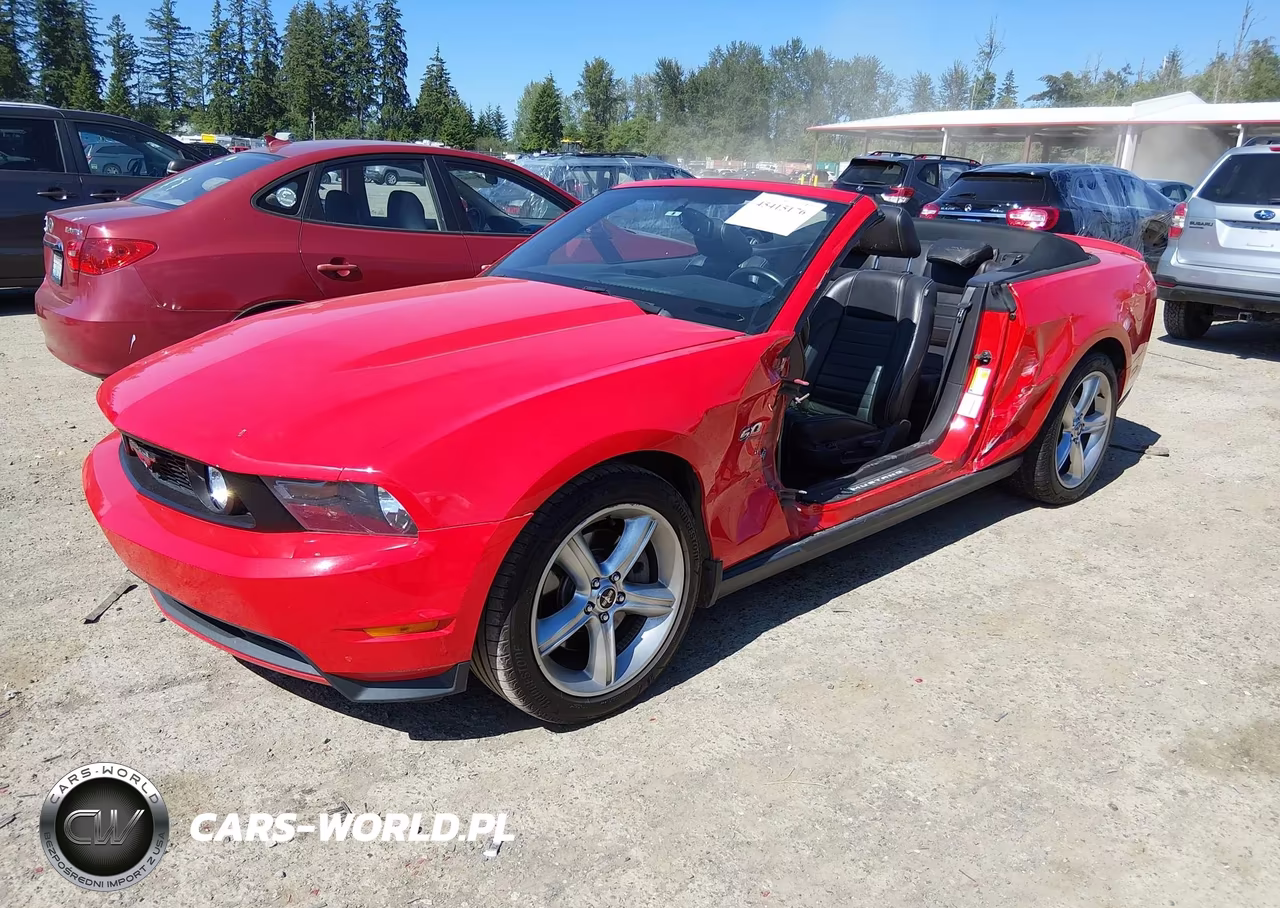 2011 Ford Mustang Gt-Gt Premium VIN:1ZVBP8FF1B5134243 - 2