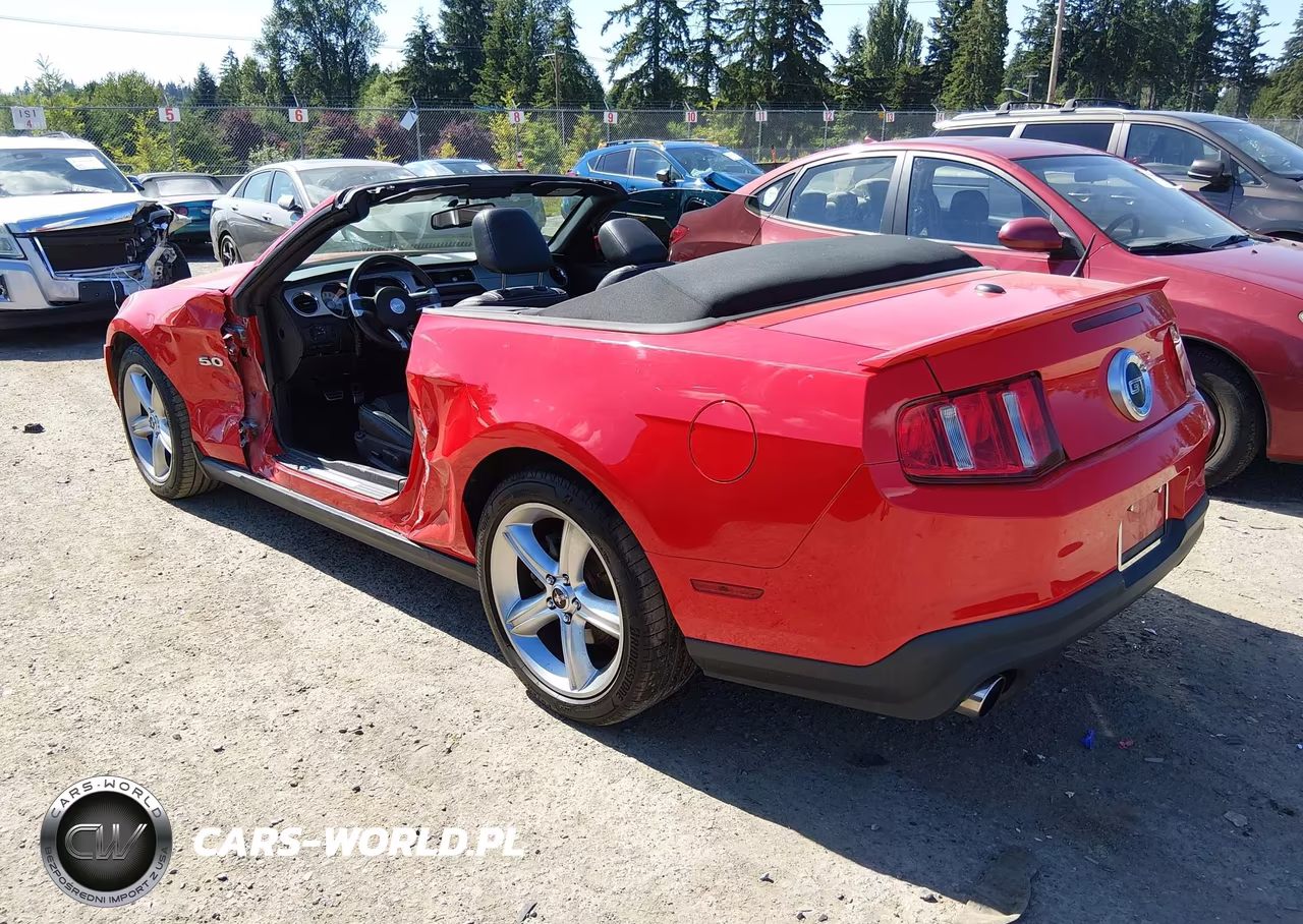2011 Ford Mustang Gt-Gt Premium VIN:1ZVBP8FF1B5134243 - 3