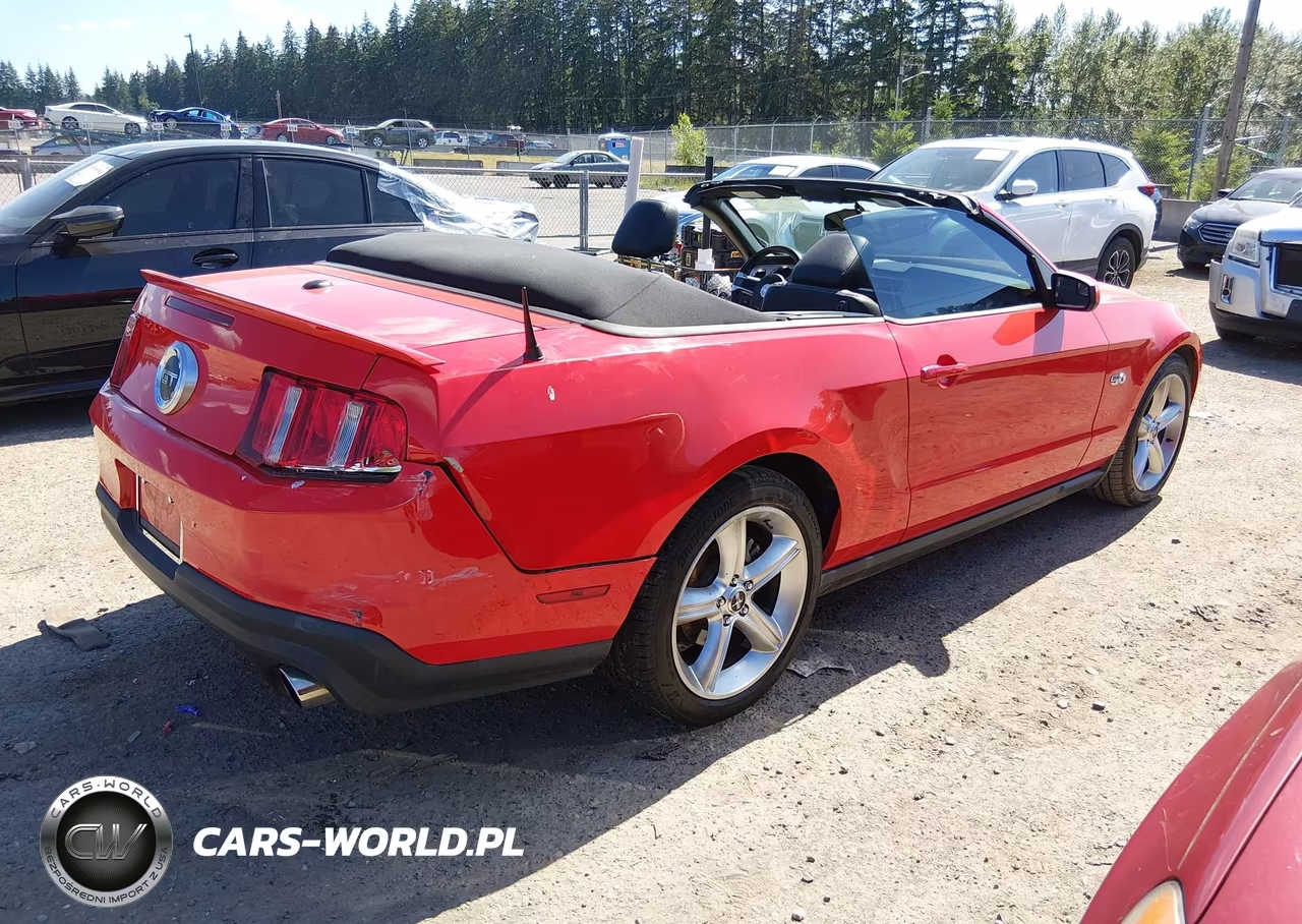 2011 Ford Mustang Gt-Gt Premium VIN:1ZVBP8FF1B5134243 - 4