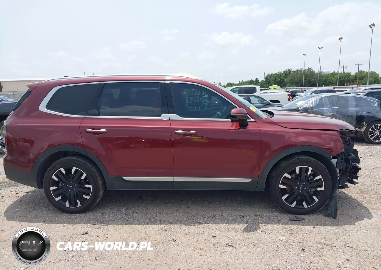 2024 Kia Telluride Sx Prestige VIN:5XYP5DGC5RG511783 - 14