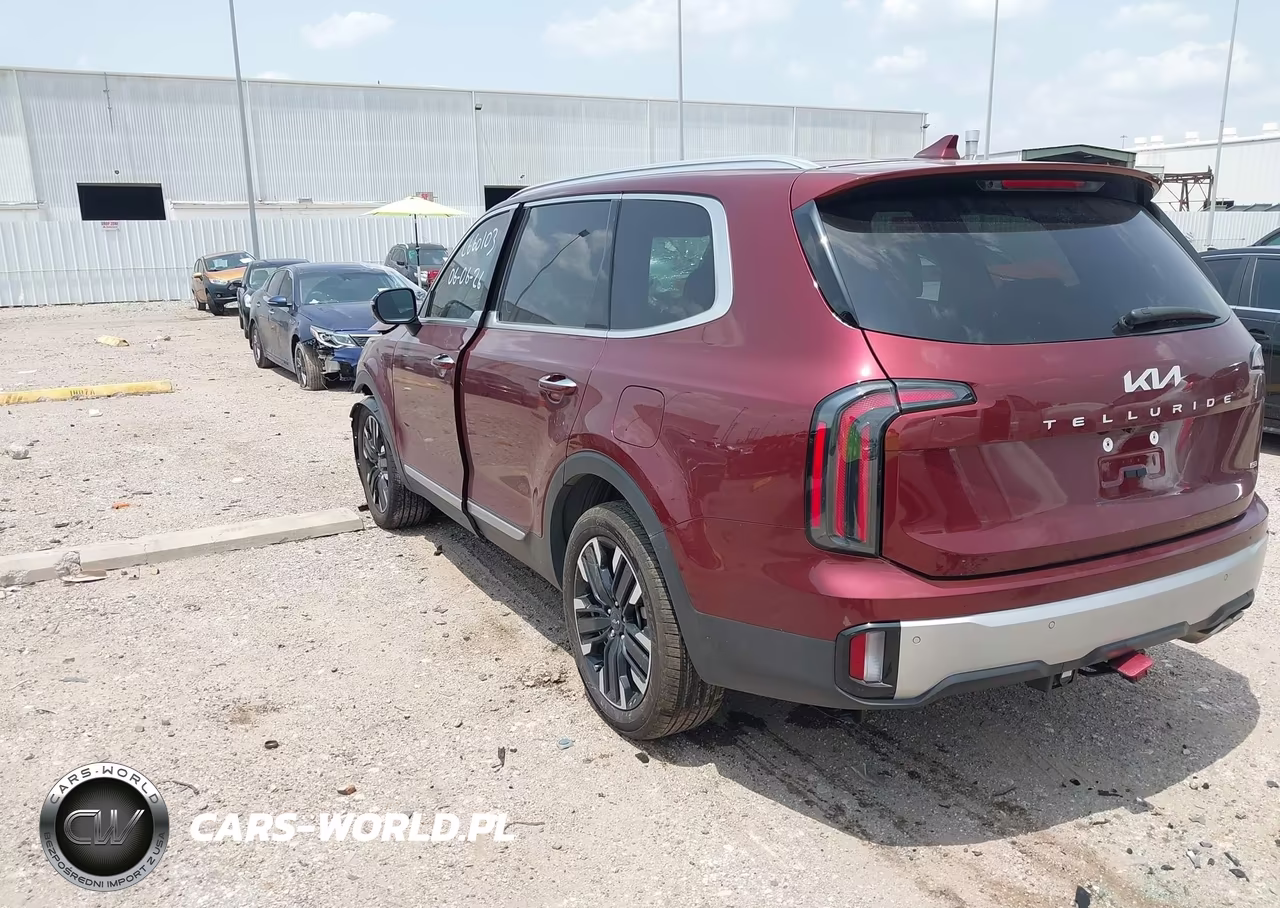 2024 Kia Telluride Sx Prestige VIN:5XYP5DGC5RG511783 - 3