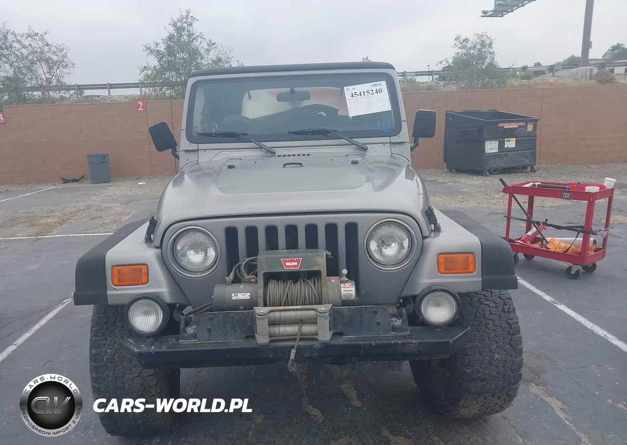 2001 Jeep Wrangler Sport VIN:1J4FA49591P314266 - 13