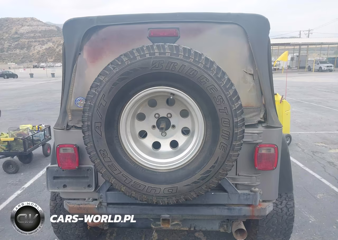 2001 Jeep Wrangler Sport VIN:1J4FA49591P314266 - 17