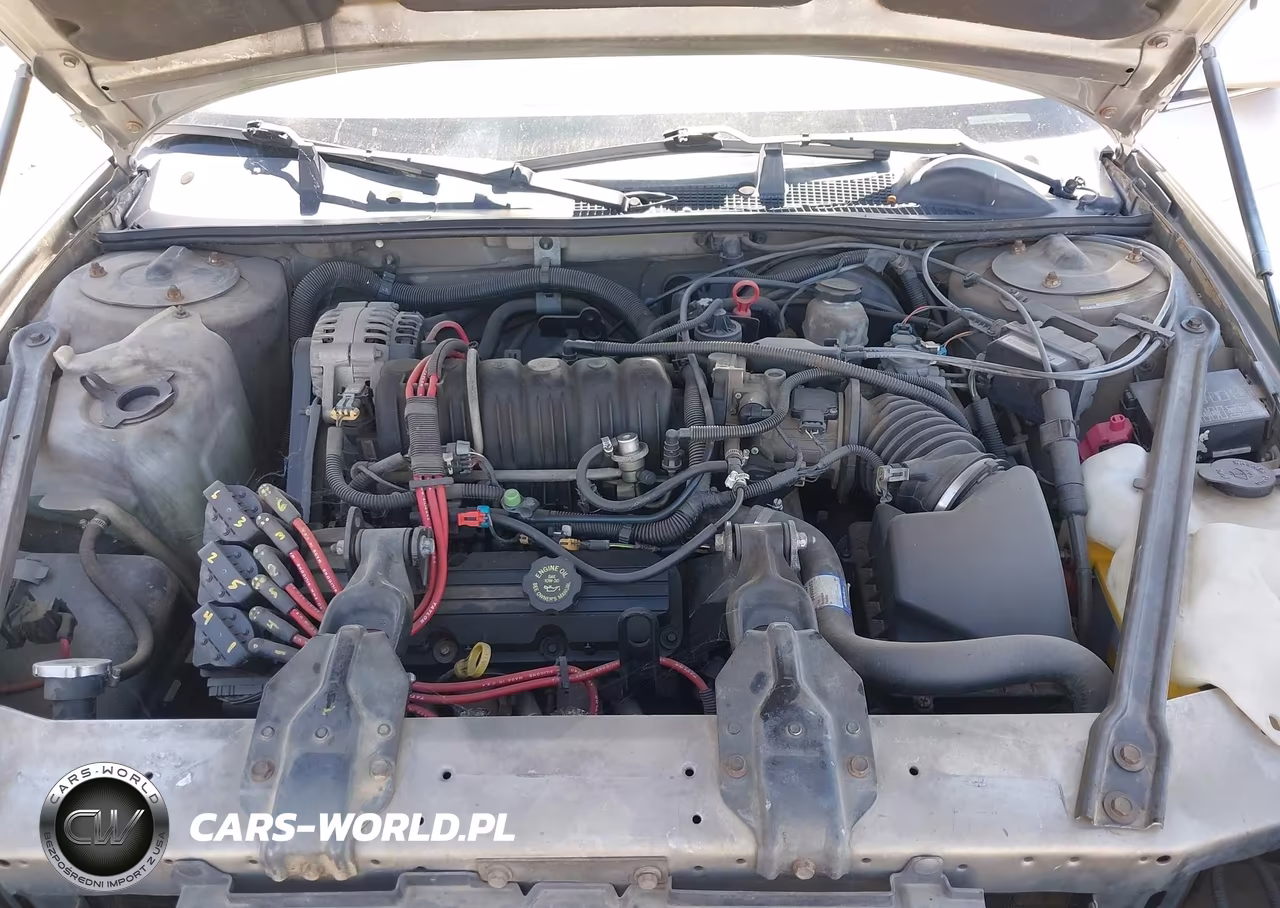 1999 Chevrolet Lumina Ltz VIN:2G1WN52K3X9194409 - 10