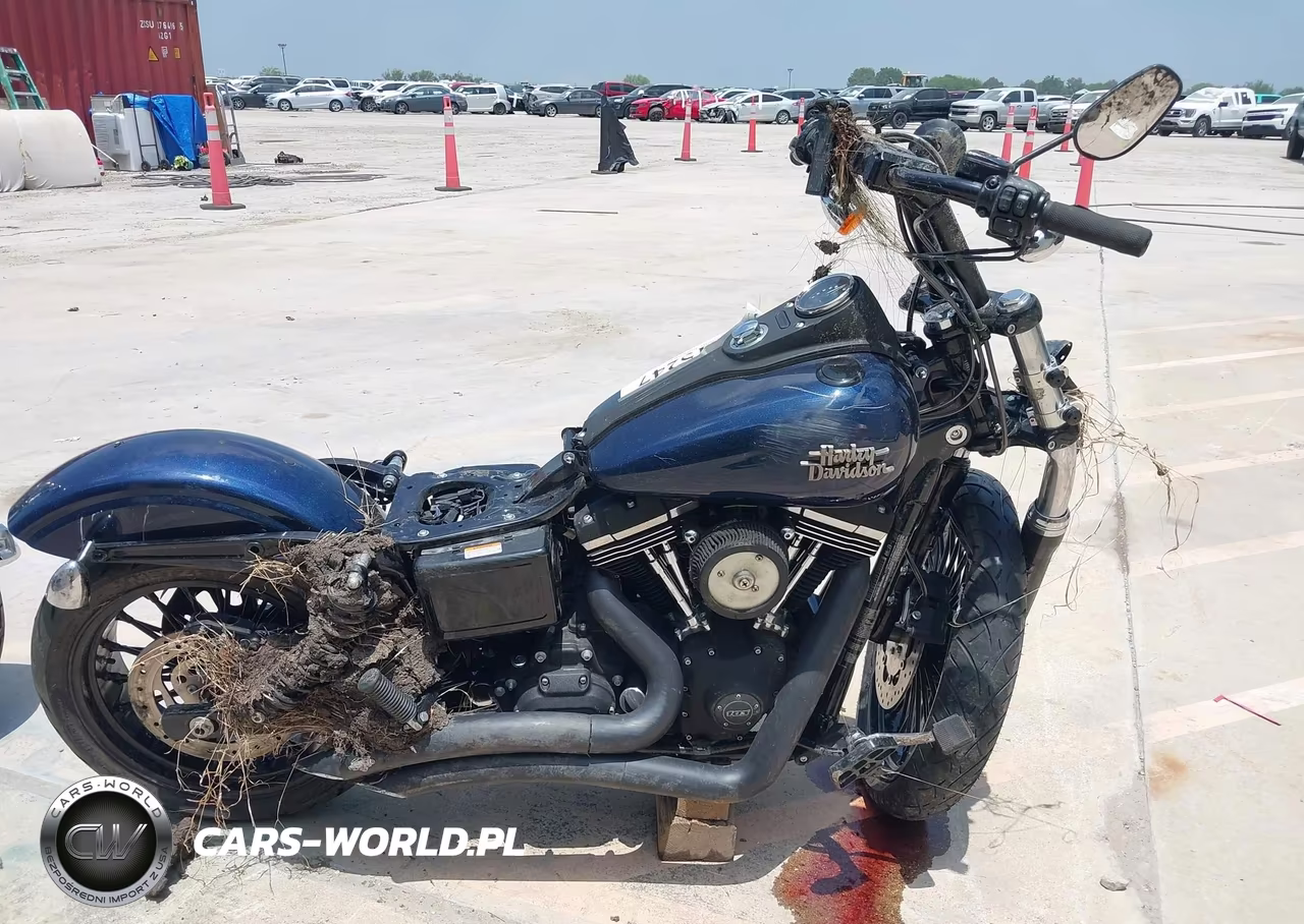 2013 Harley-Davidson Fxdbp Dyna Street Bob VIN:1HD1VAM13DC301752 - 11