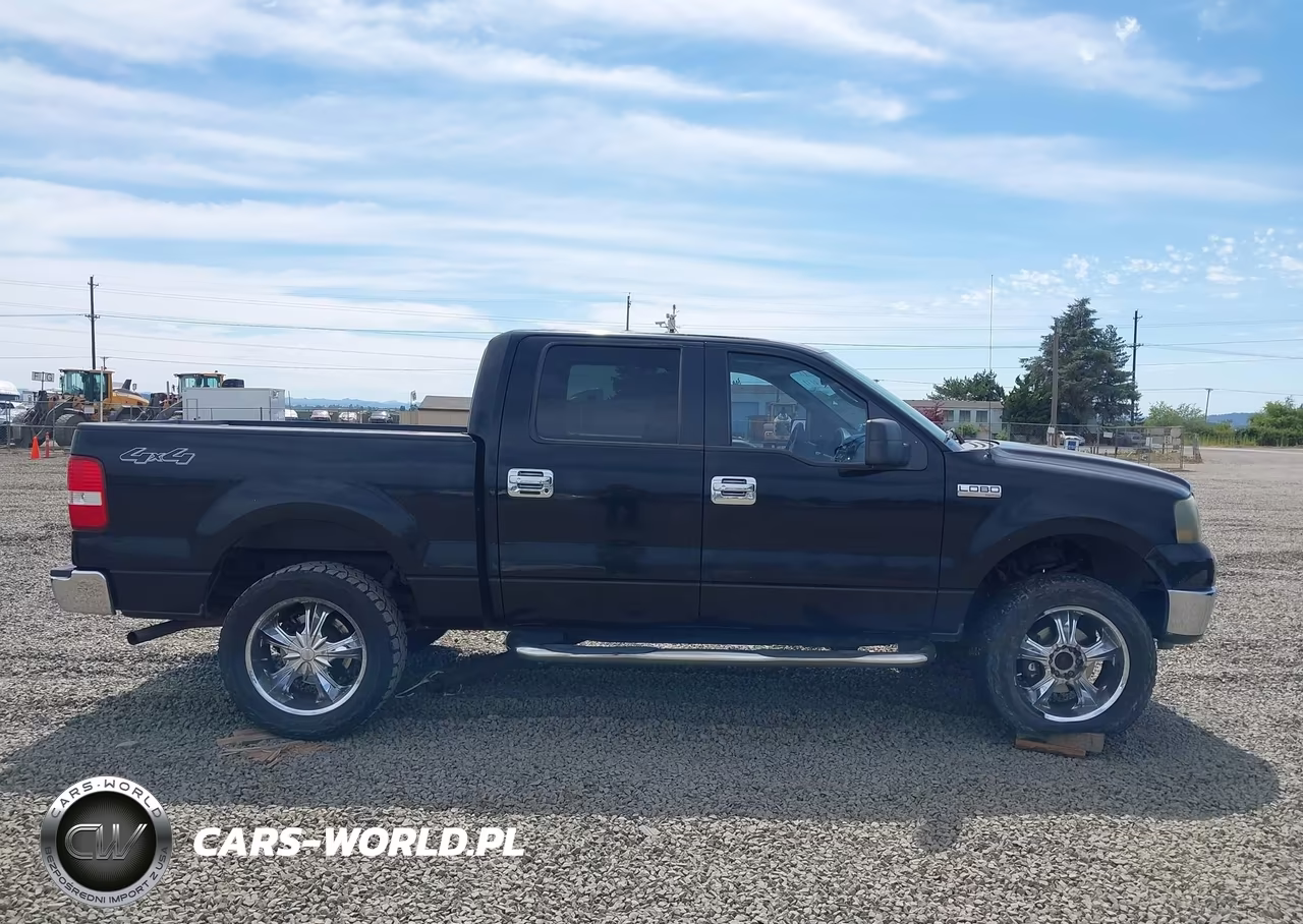 2006 Ford F-150 Fx4-Lariat-Xlt VIN:1FTPW145X6FB47845 - 13
