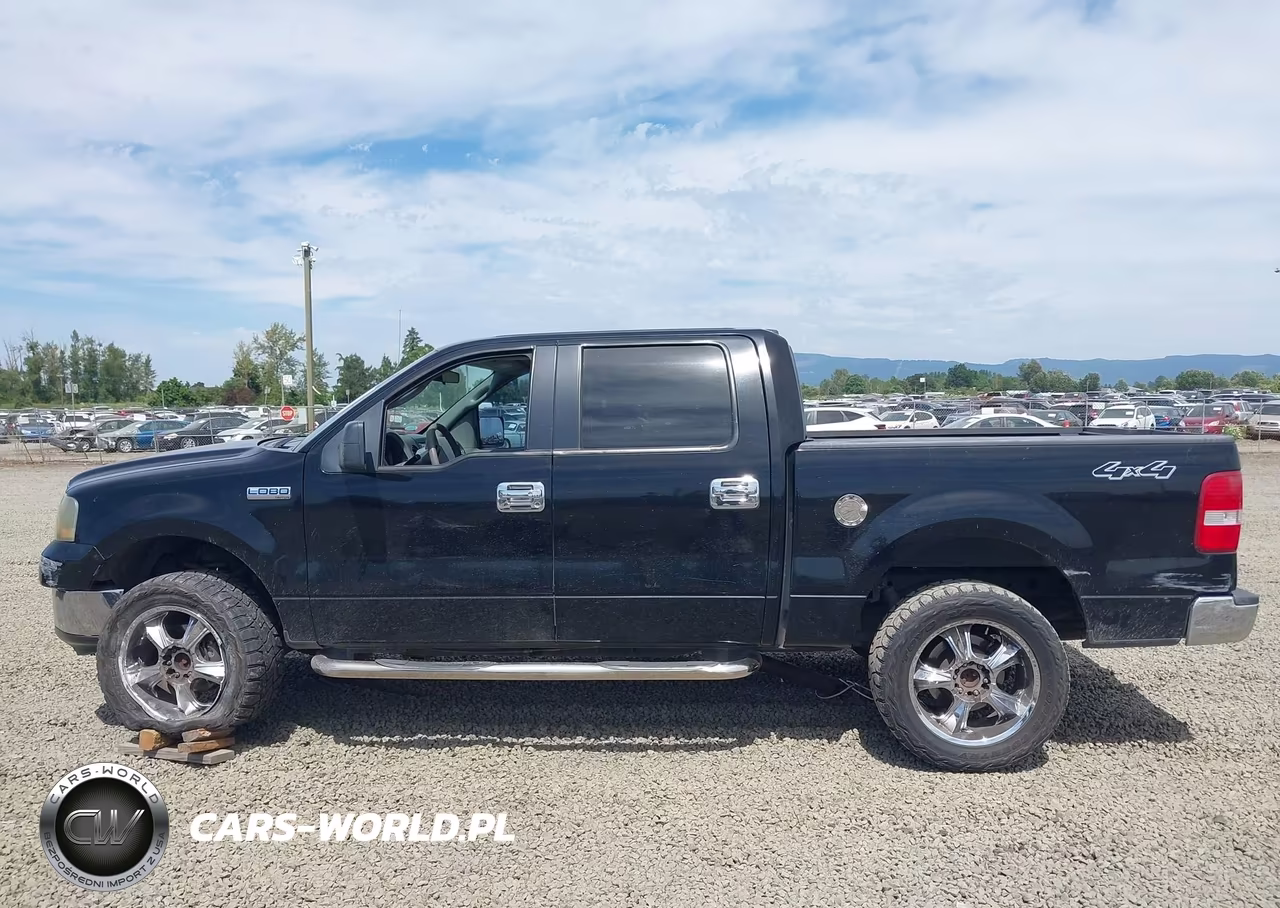 2006 Ford F-150 Fx4-Lariat-Xlt VIN:1FTPW145X6FB47845 - 14