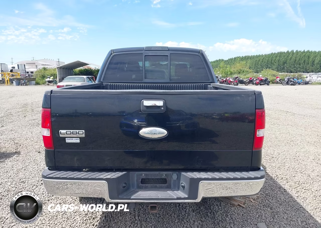 2006 Ford F-150 Fx4-Lariat-Xlt VIN:1FTPW145X6FB47845 - 16
