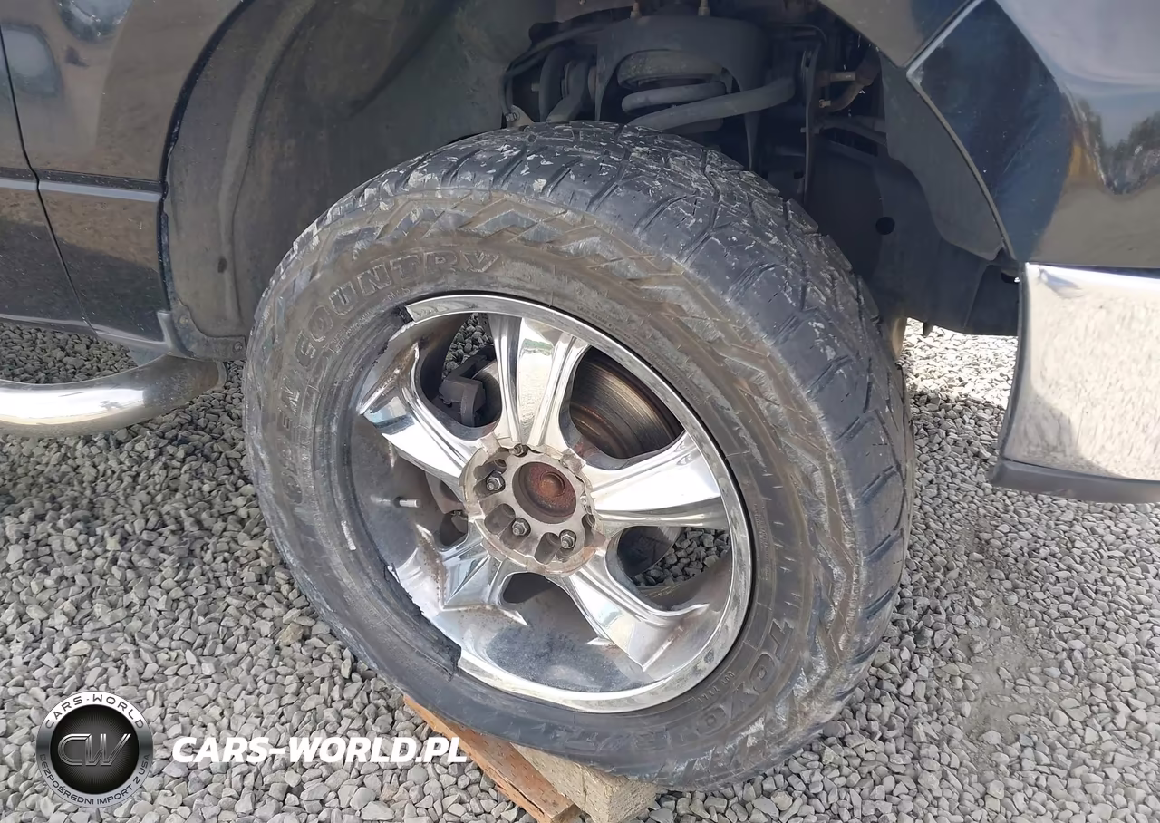 2006 Ford F-150 Fx4-Lariat-Xlt VIN:1FTPW145X6FB47845 - 17