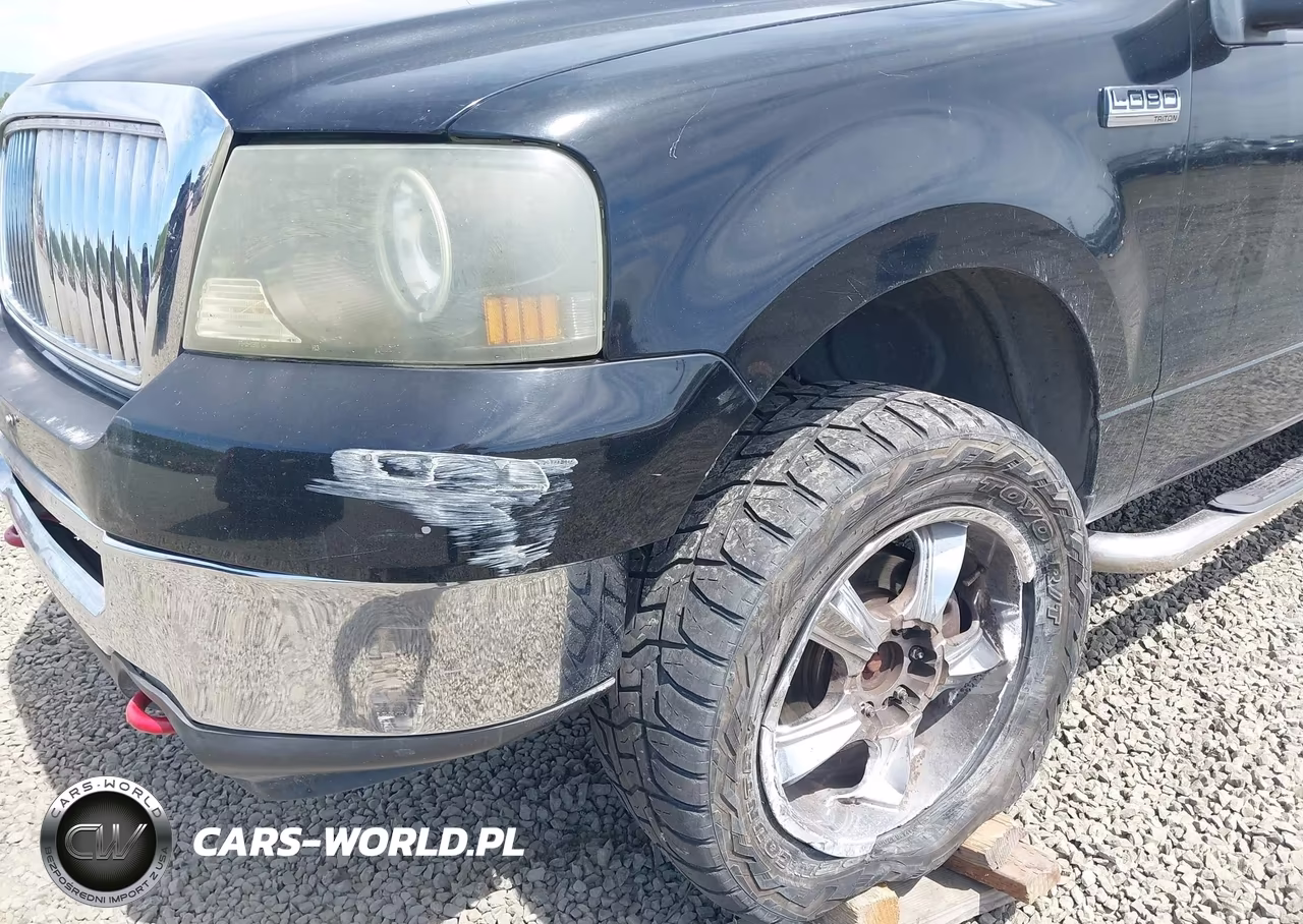 2006 Ford F-150 Fx4-Lariat-Xlt VIN:1FTPW145X6FB47845 - 6