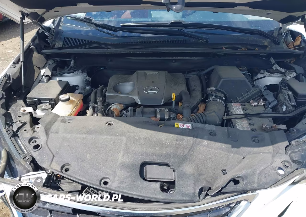 2020 Lexus Nx 300 VIN:JTJDARDZ6L5004831 - 10