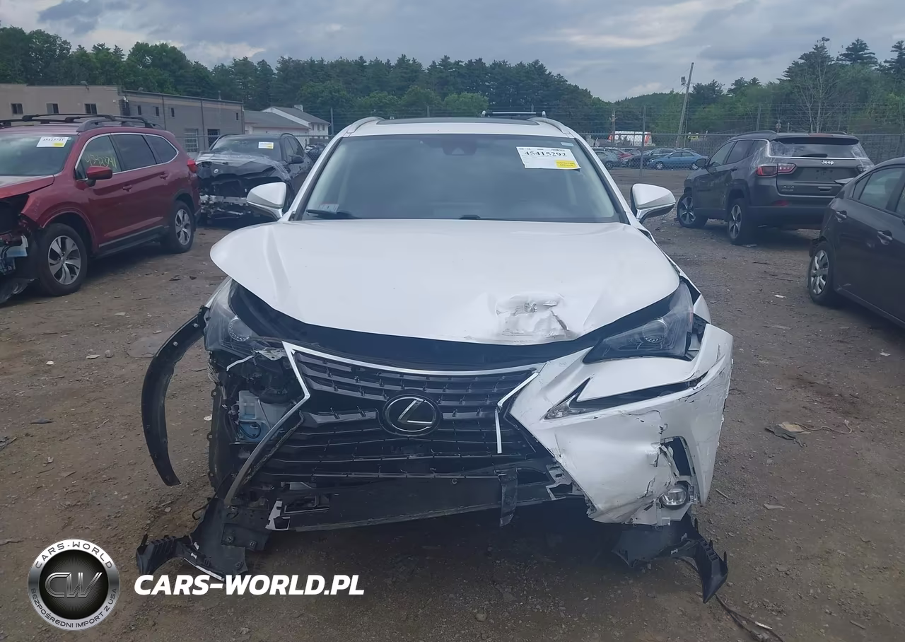 2020 Lexus Nx 300 VIN:JTJDARDZ6L5004831 - 13