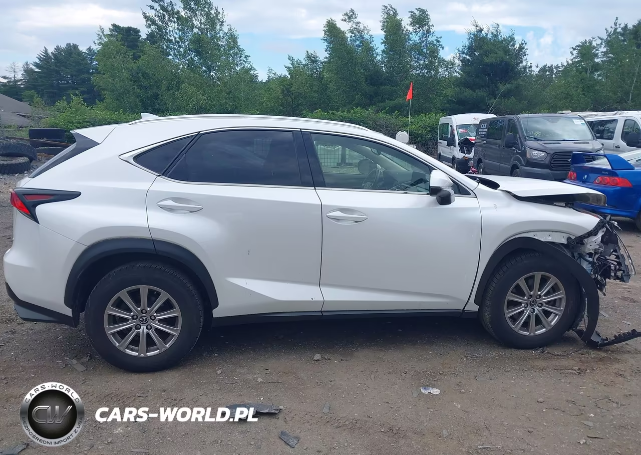 2020 Lexus Nx 300 VIN:JTJDARDZ6L5004831 - 14