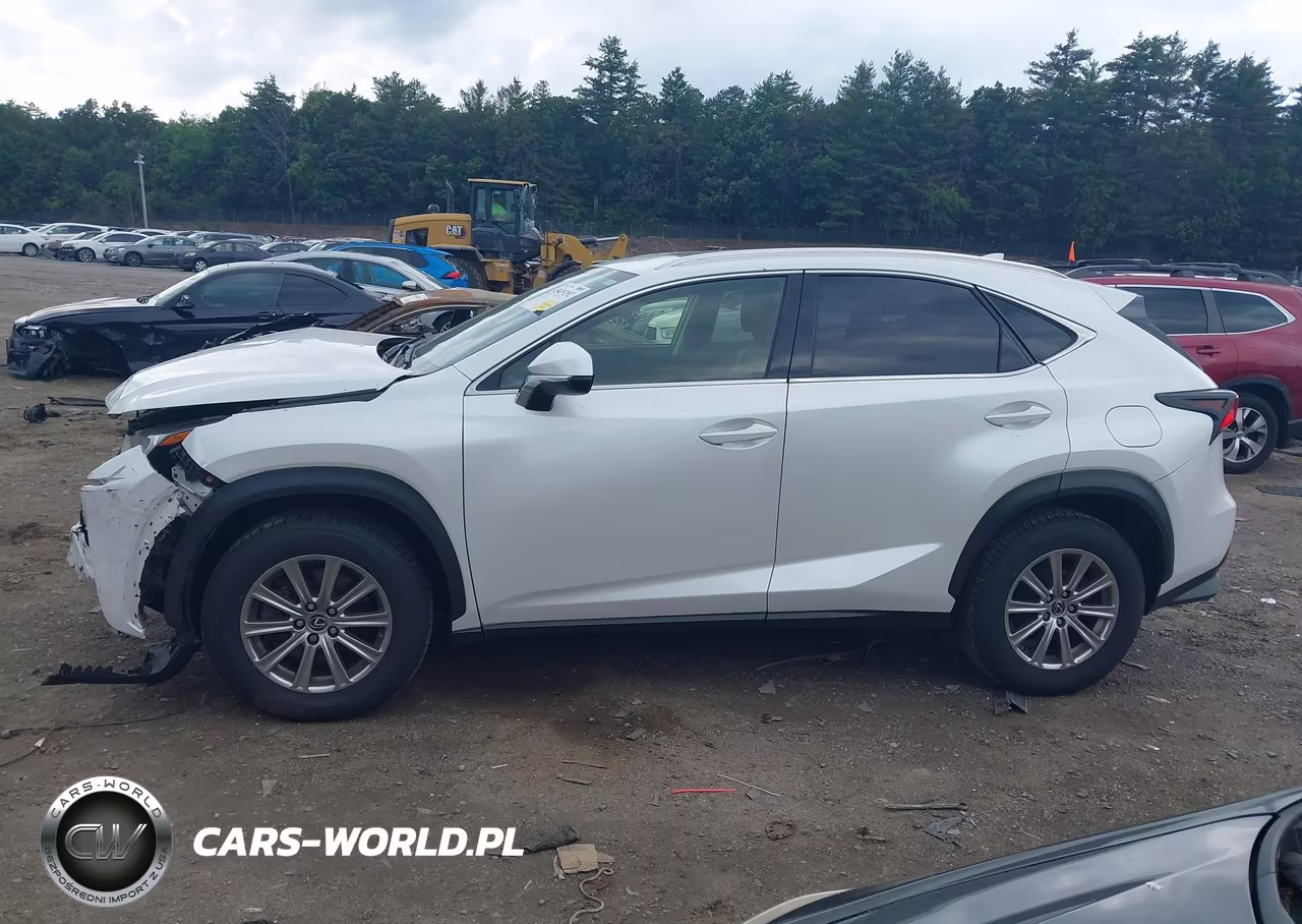 2020 Lexus Nx 300 VIN:JTJDARDZ6L5004831 - 15