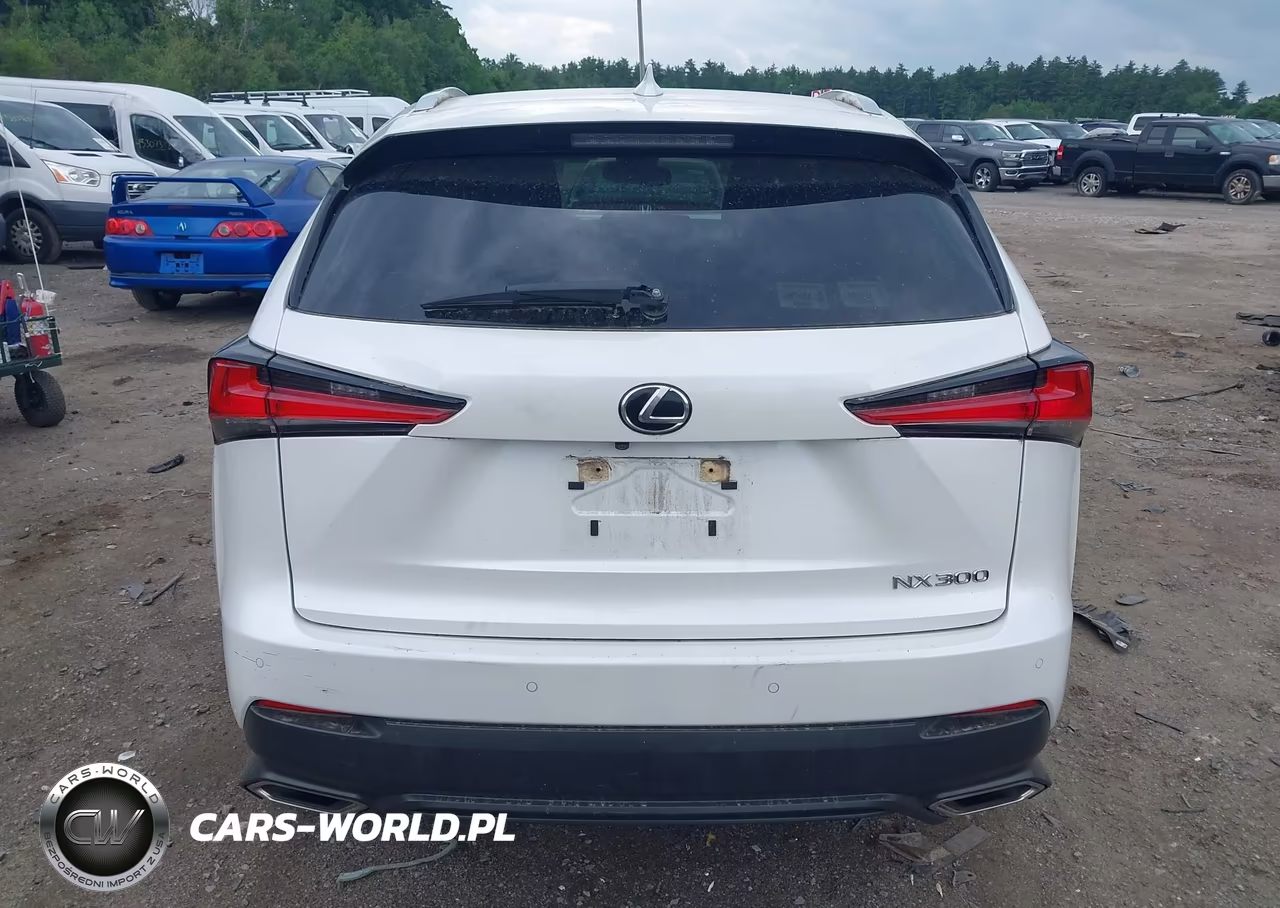 2020 Lexus Nx 300 VIN:JTJDARDZ6L5004831 - 17