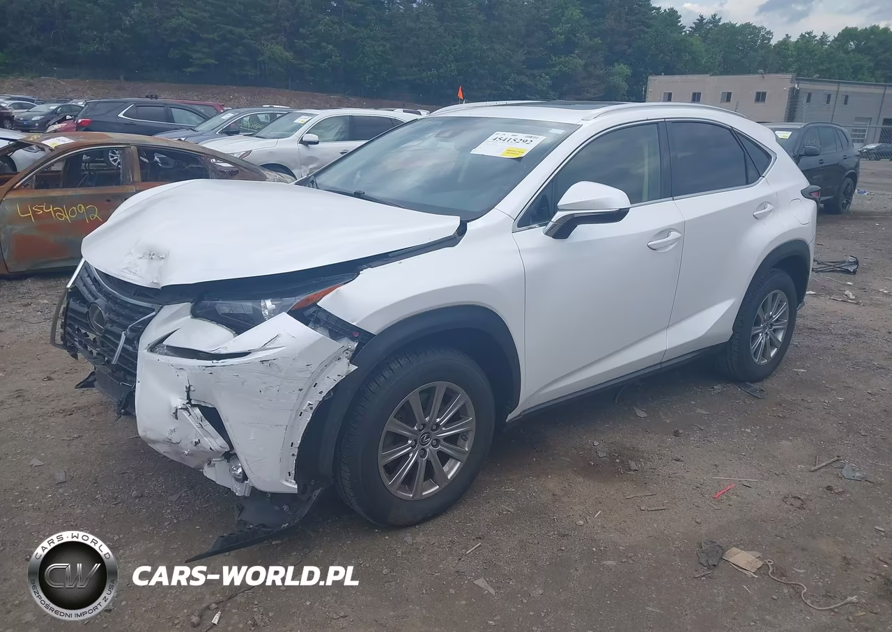 2020 Lexus Nx 300 VIN:JTJDARDZ6L5004831 - 2