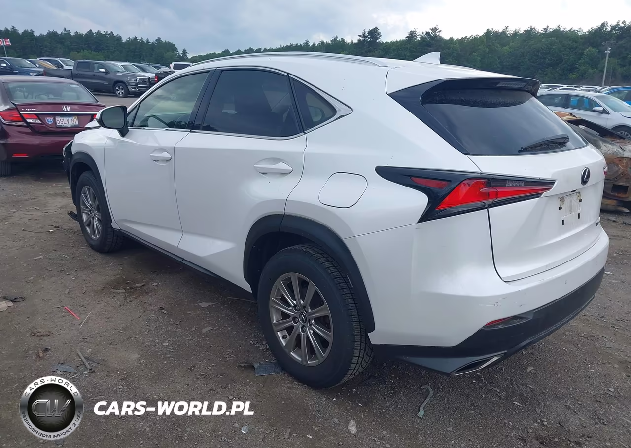 2020 Lexus Nx 300 VIN:JTJDARDZ6L5004831 - 3