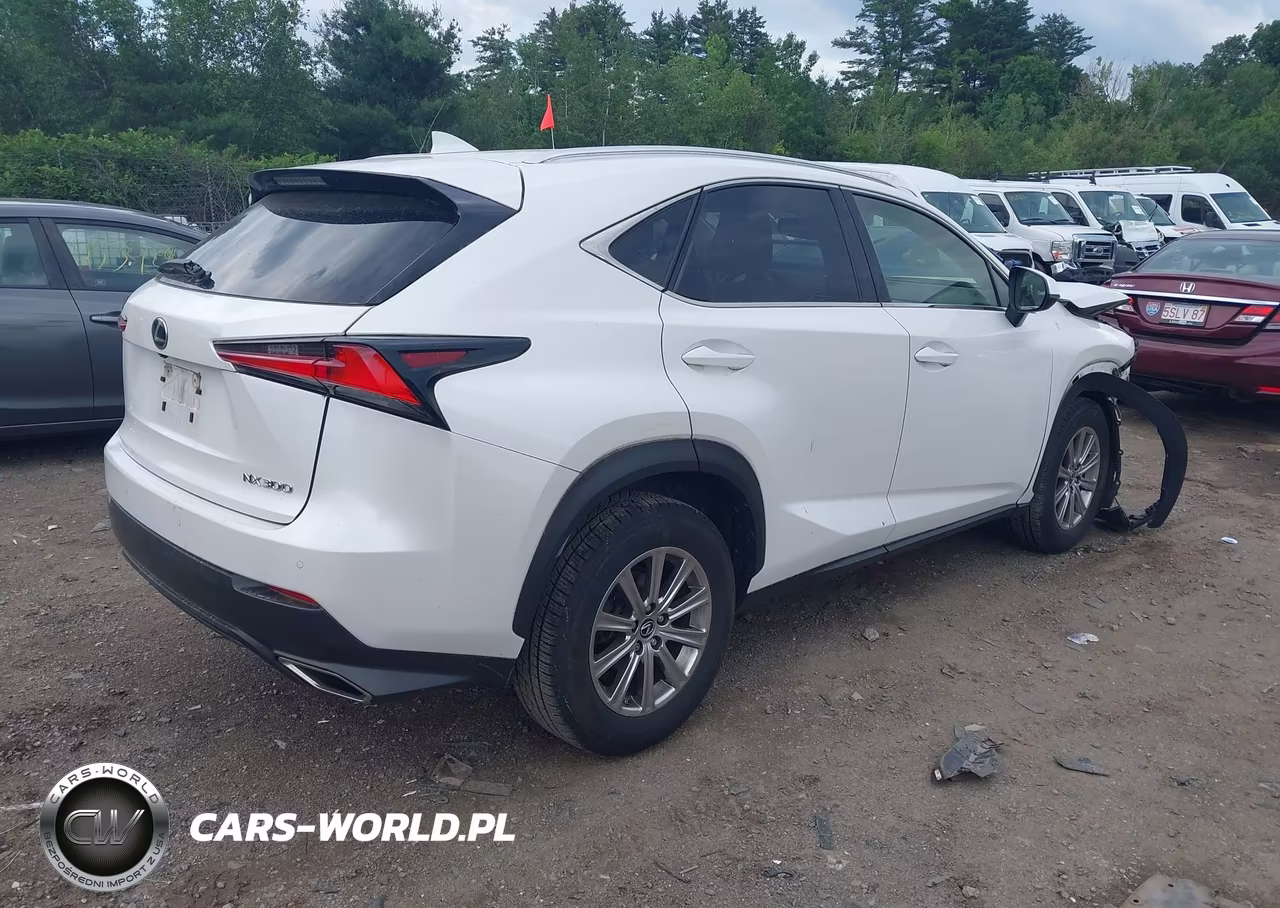 2020 Lexus Nx 300 VIN:JTJDARDZ6L5004831 - 4