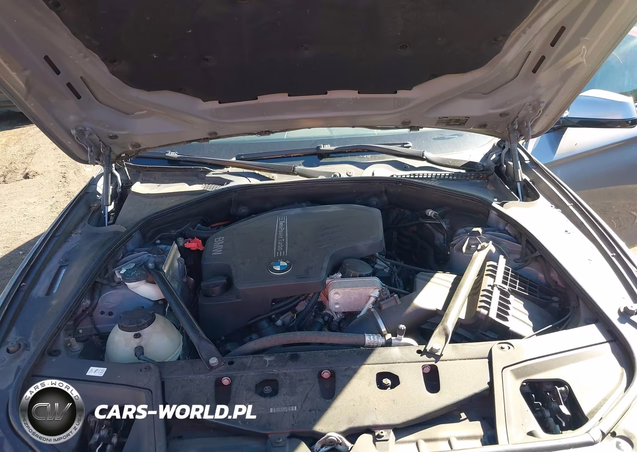 2013 BMW 528I VIN:WBAXG5C59DD229139 - 10