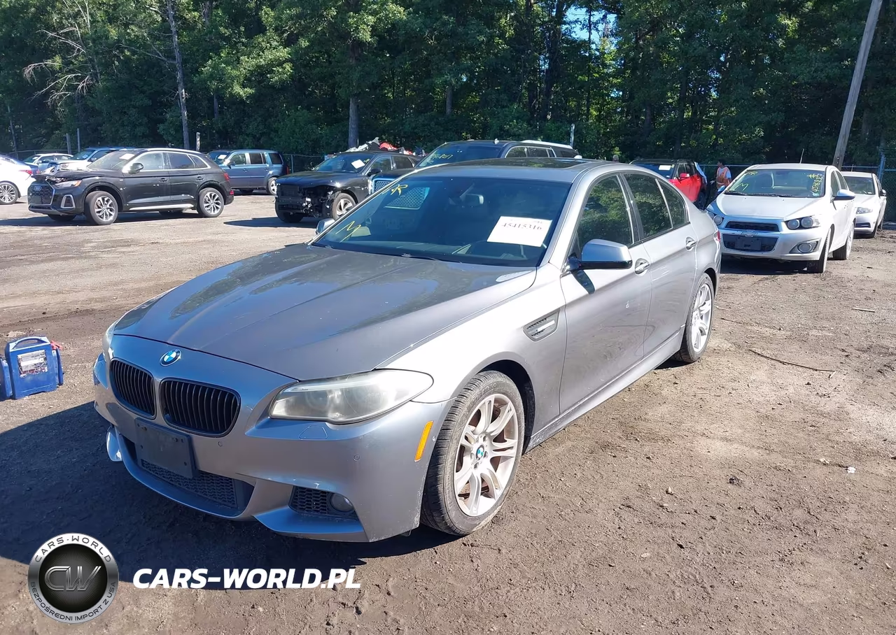 2013 BMW 528I VIN:WBAXG5C59DD229139 - 2