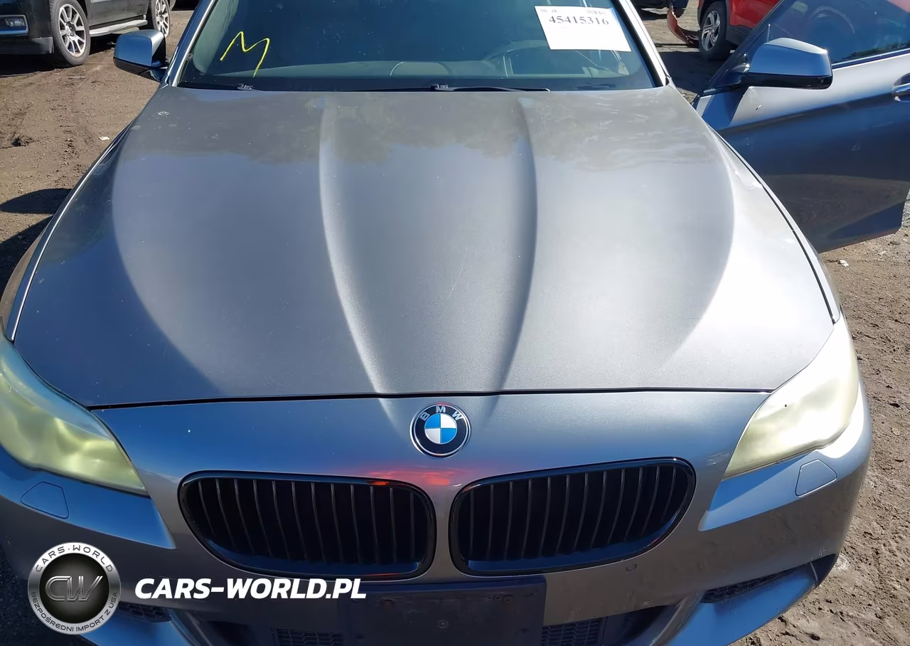 2013 BMW 528I VIN:WBAXG5C59DD229139 - 6