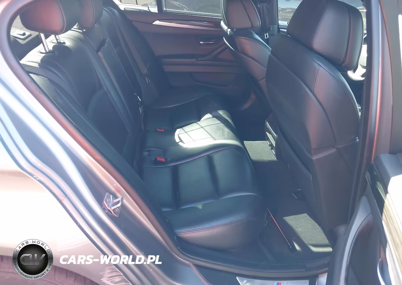 2013 BMW 528I VIN:WBAXG5C59DD229139 - 8