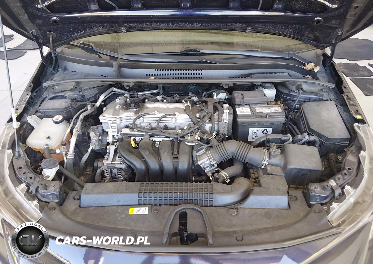 2020 Toyota Corolla Le VIN:JTDEPRAEXLJ051827 - 10