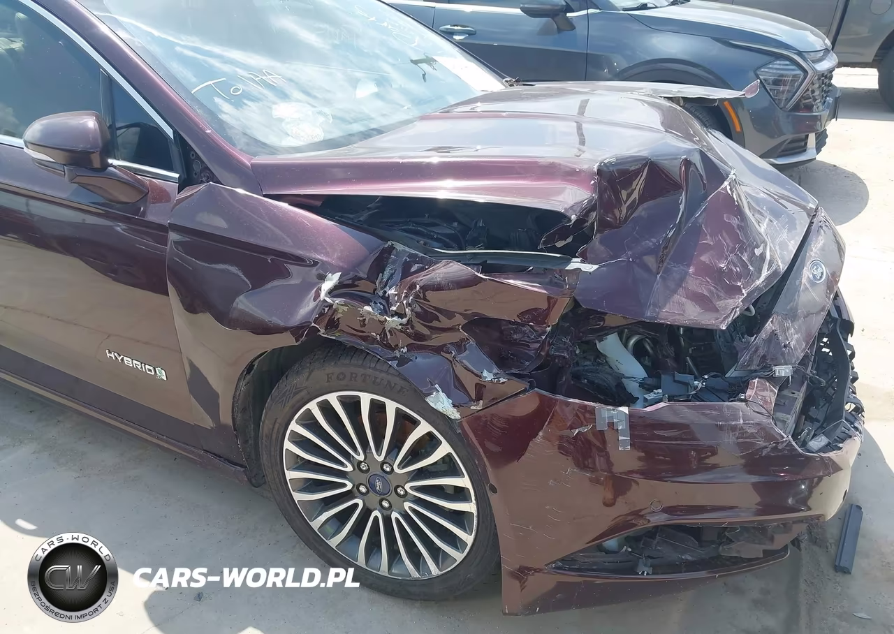 2017 Ford Fusion Hybrid Titanium VIN:3FA6P0RU9HR267859 - 17