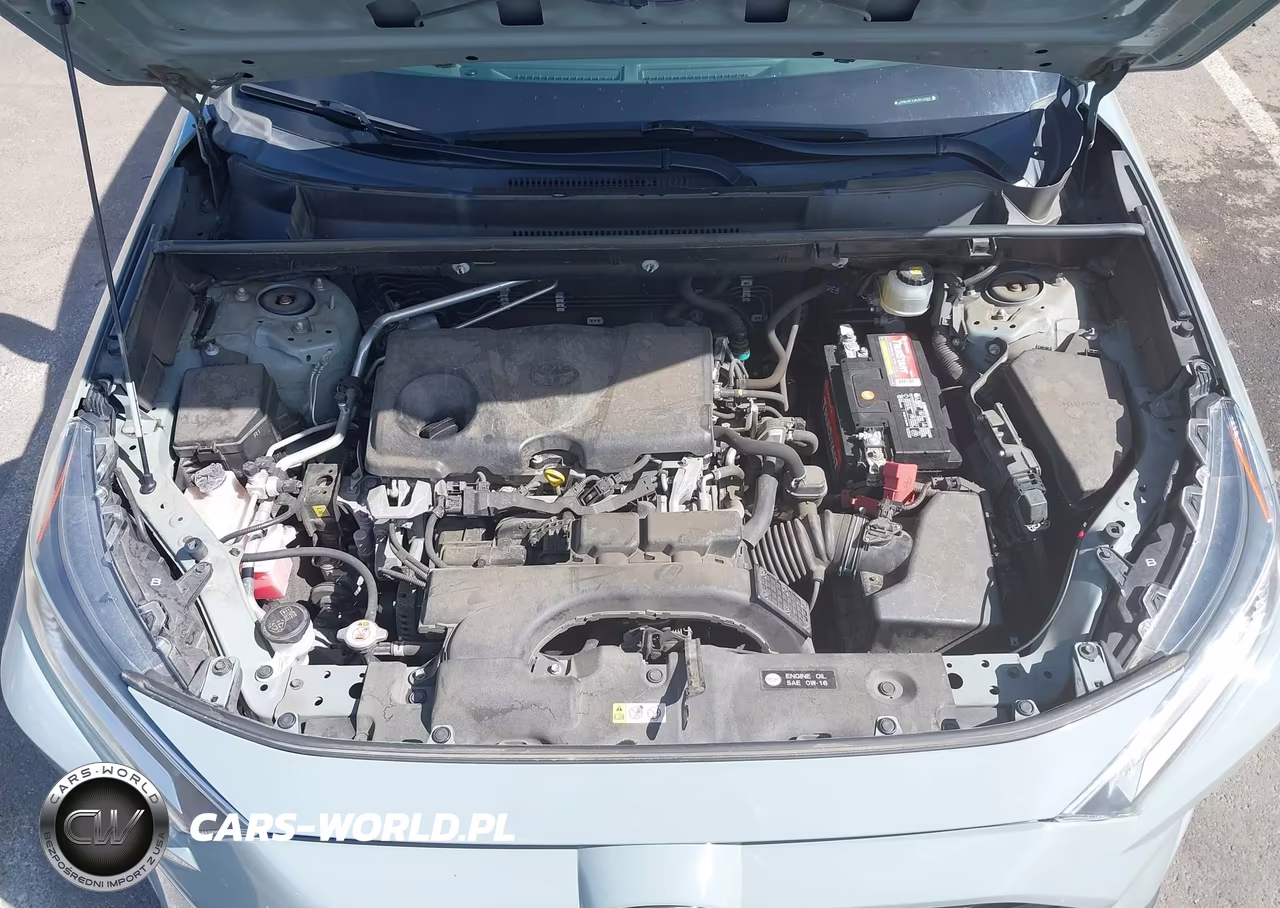 2019 Toyota Rav4 Xle Premium VIN:JTMA1RFV2KD512363 - 10