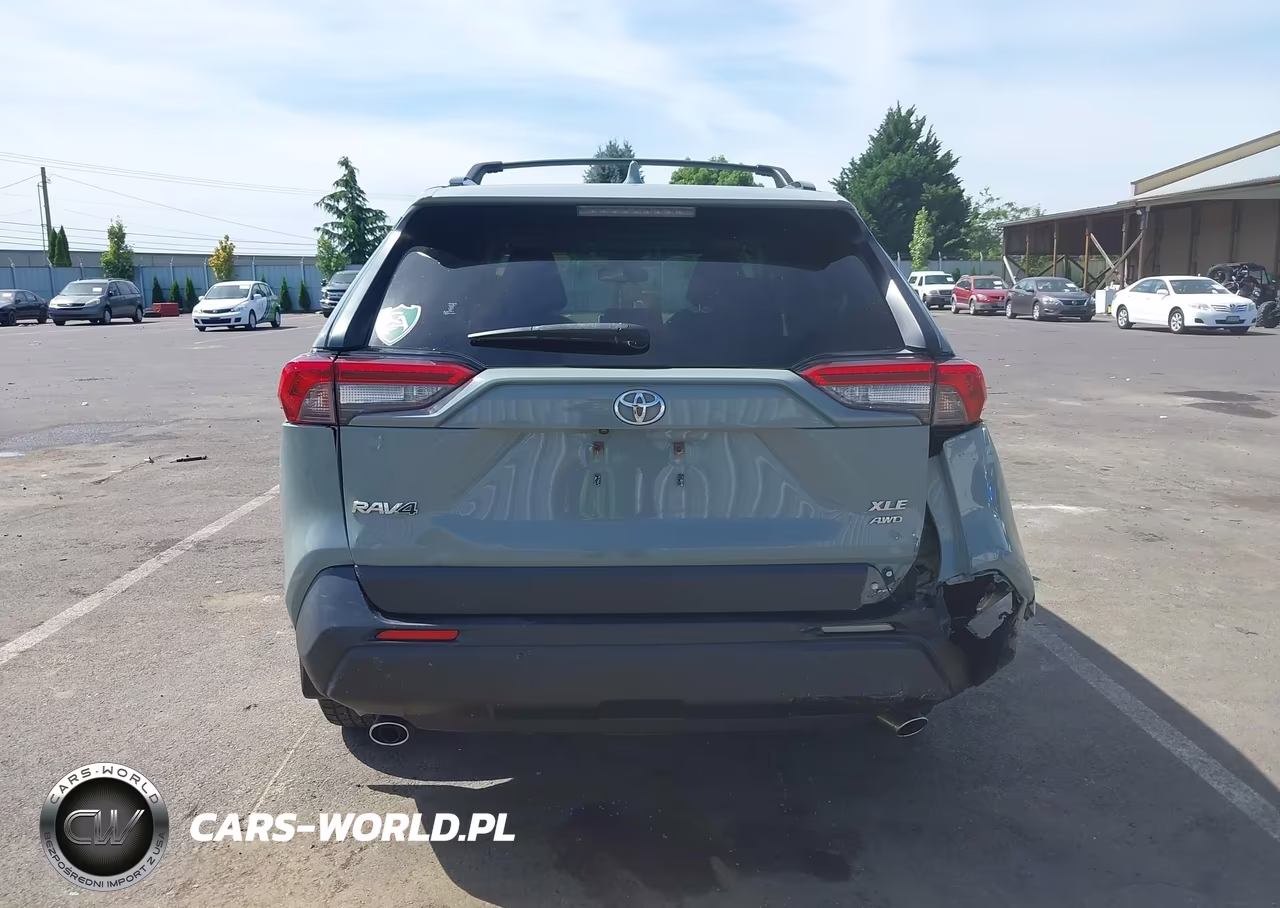 2019 Toyota Rav4 Xle Premium VIN:JTMA1RFV2KD512363 - 16