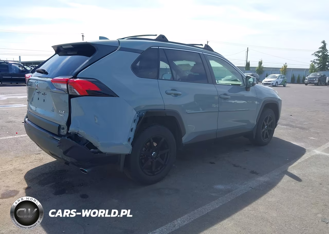 2019 Toyota Rav4 Xle Premium VIN:JTMA1RFV2KD512363 - 4