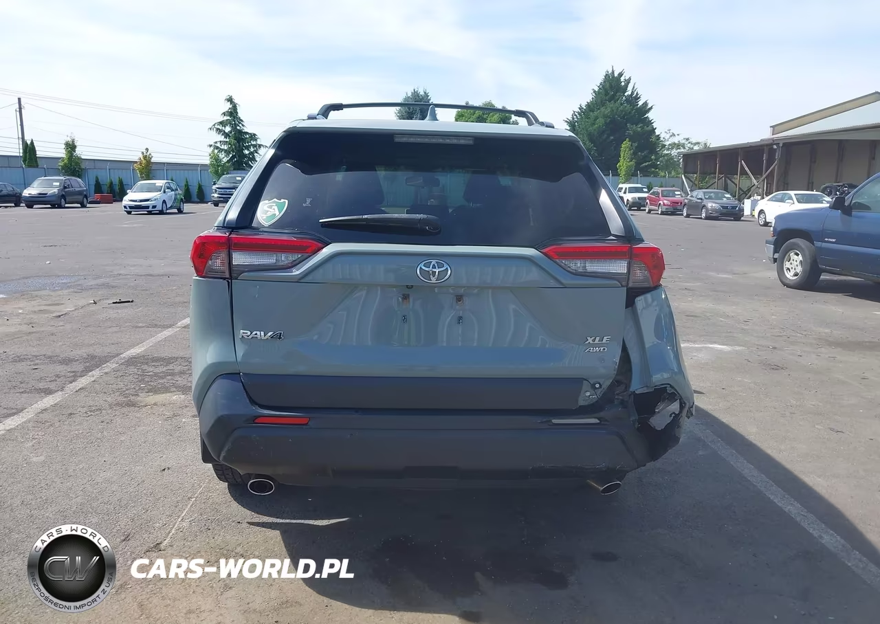 2019 Toyota Rav4 Xle Premium VIN:JTMA1RFV2KD512363 - 6
