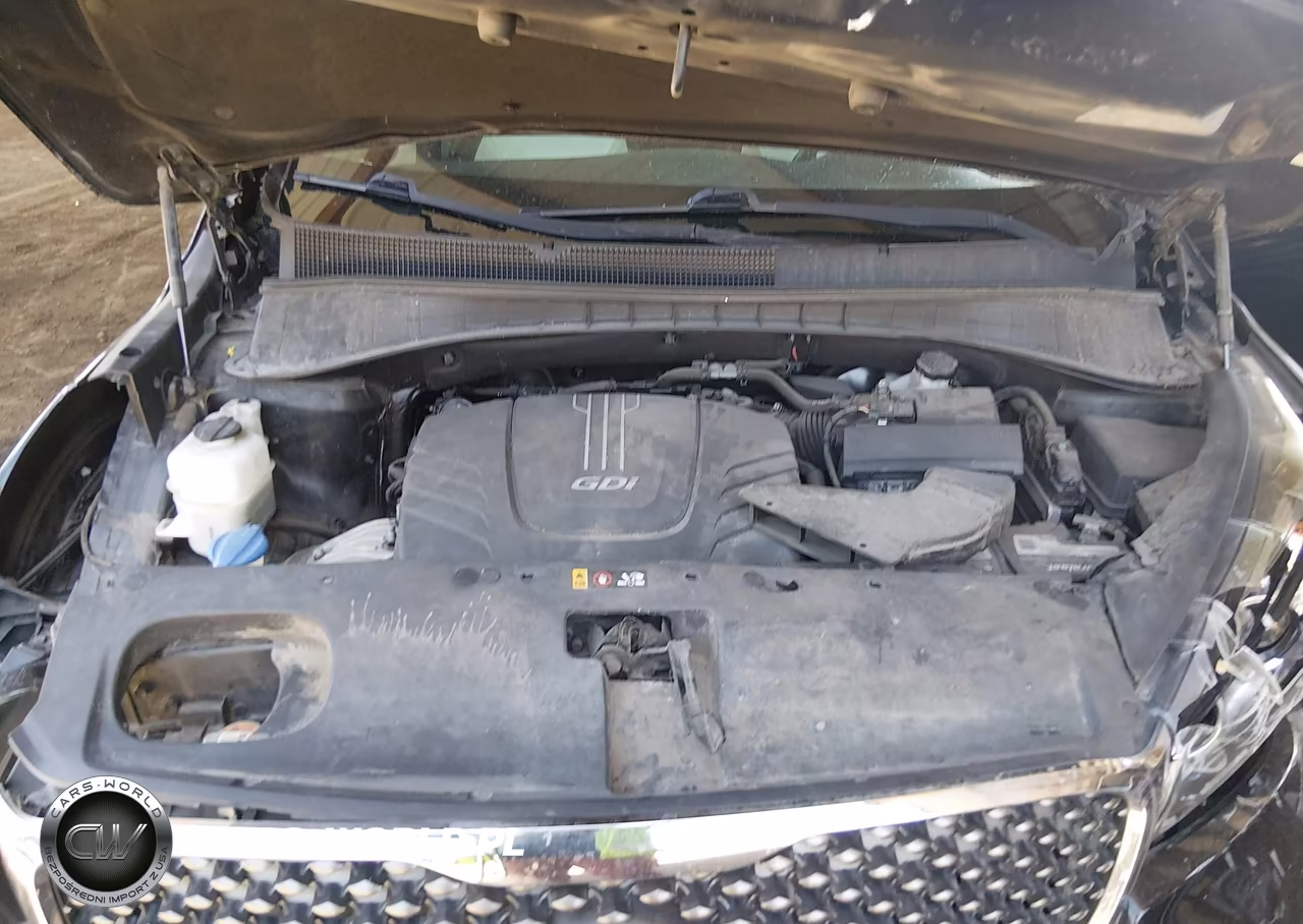 2016 Kia Sorento 3.3L Sxl VIN:5XYPK4A54GG076352 - 10
